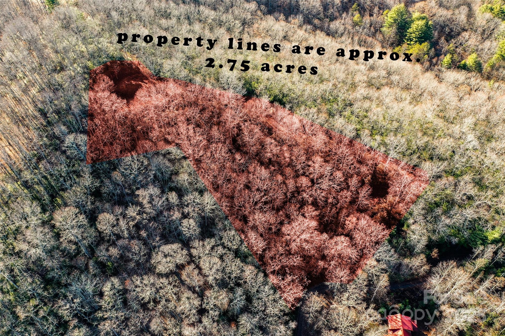 69 & 81 Winter Moon Ridge Property Photo 22