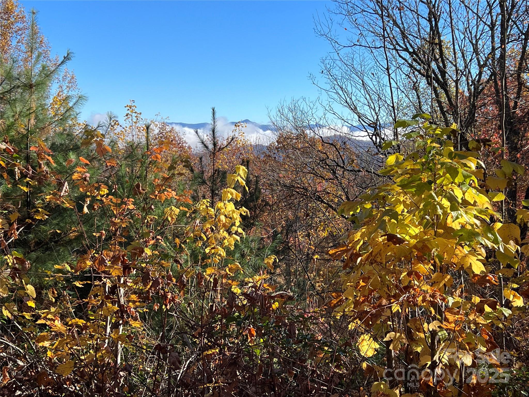 69 & 81 Winter Moon Ridge Property Photo 24