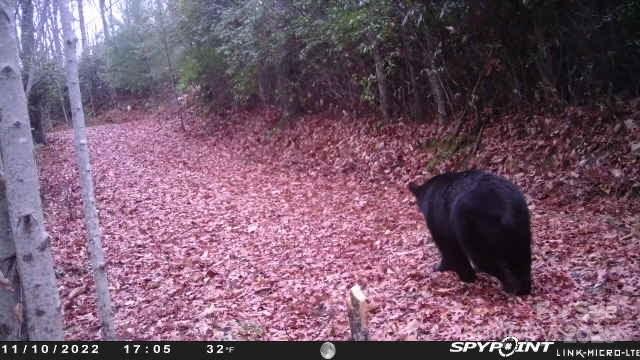 69 & 81 Winter Moon Ridge Property Photo 25