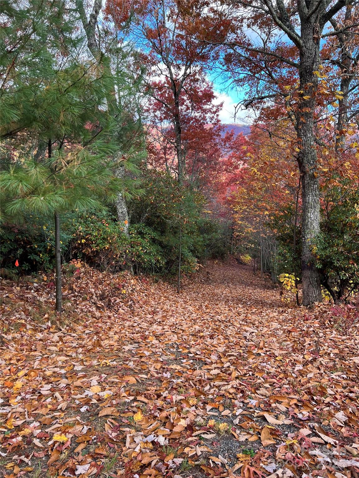 69 & 81 Winter Moon Ridge Property Photo 26