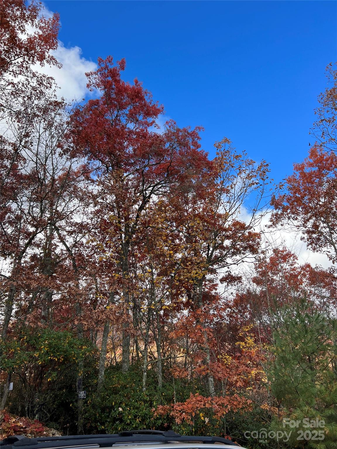 69 & 81 Winter Moon Ridge Property Photo 27