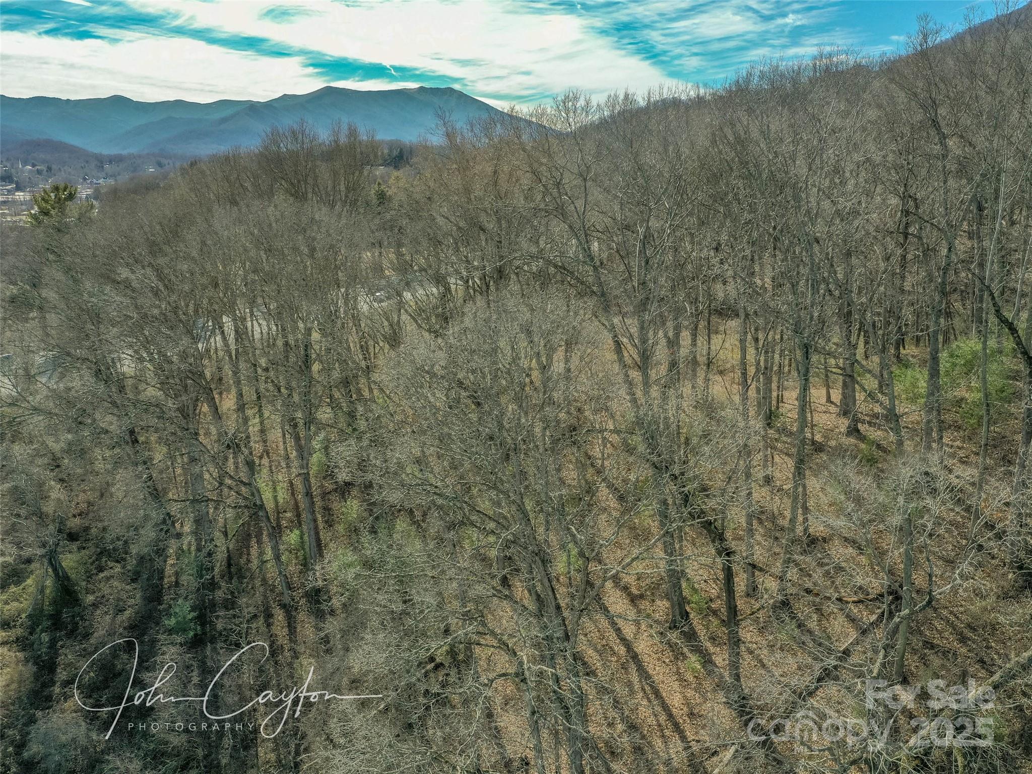 000 Great Smoky Mountain Expressway Property Photo 2