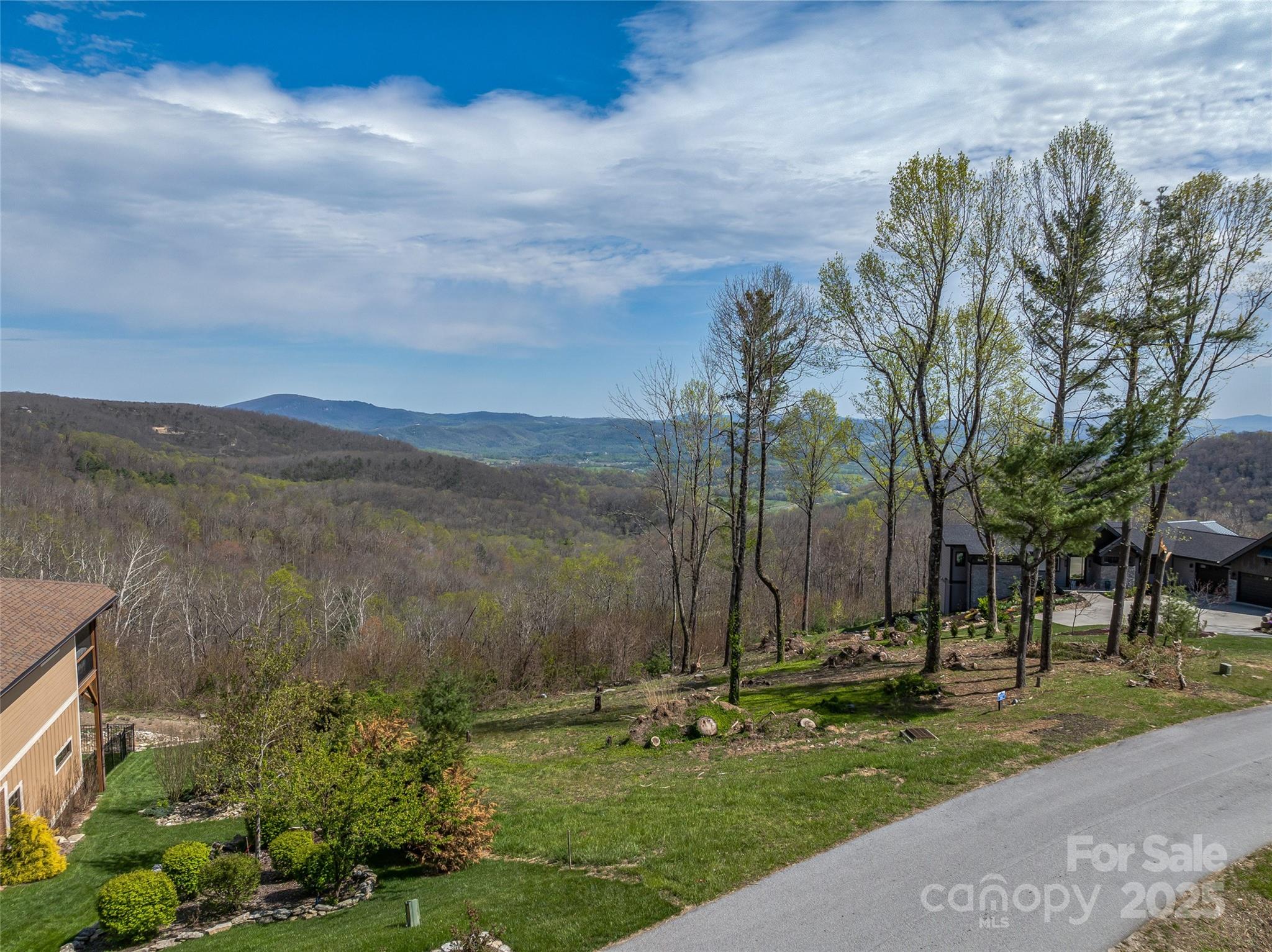 0 Dancing Bear Drive 183 Property Photo 6