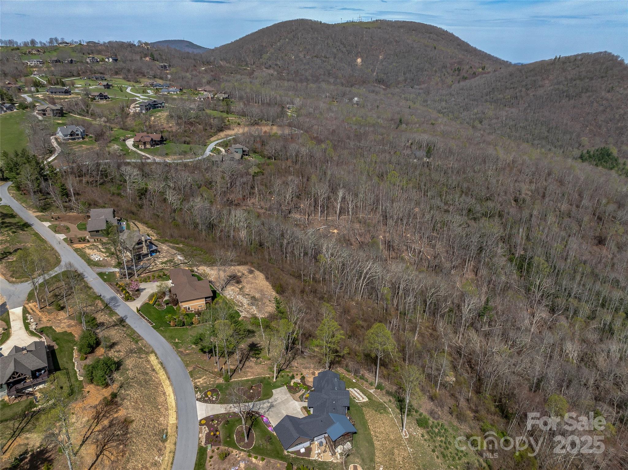 0 Dancing Bear Drive 183 Property Photo 7