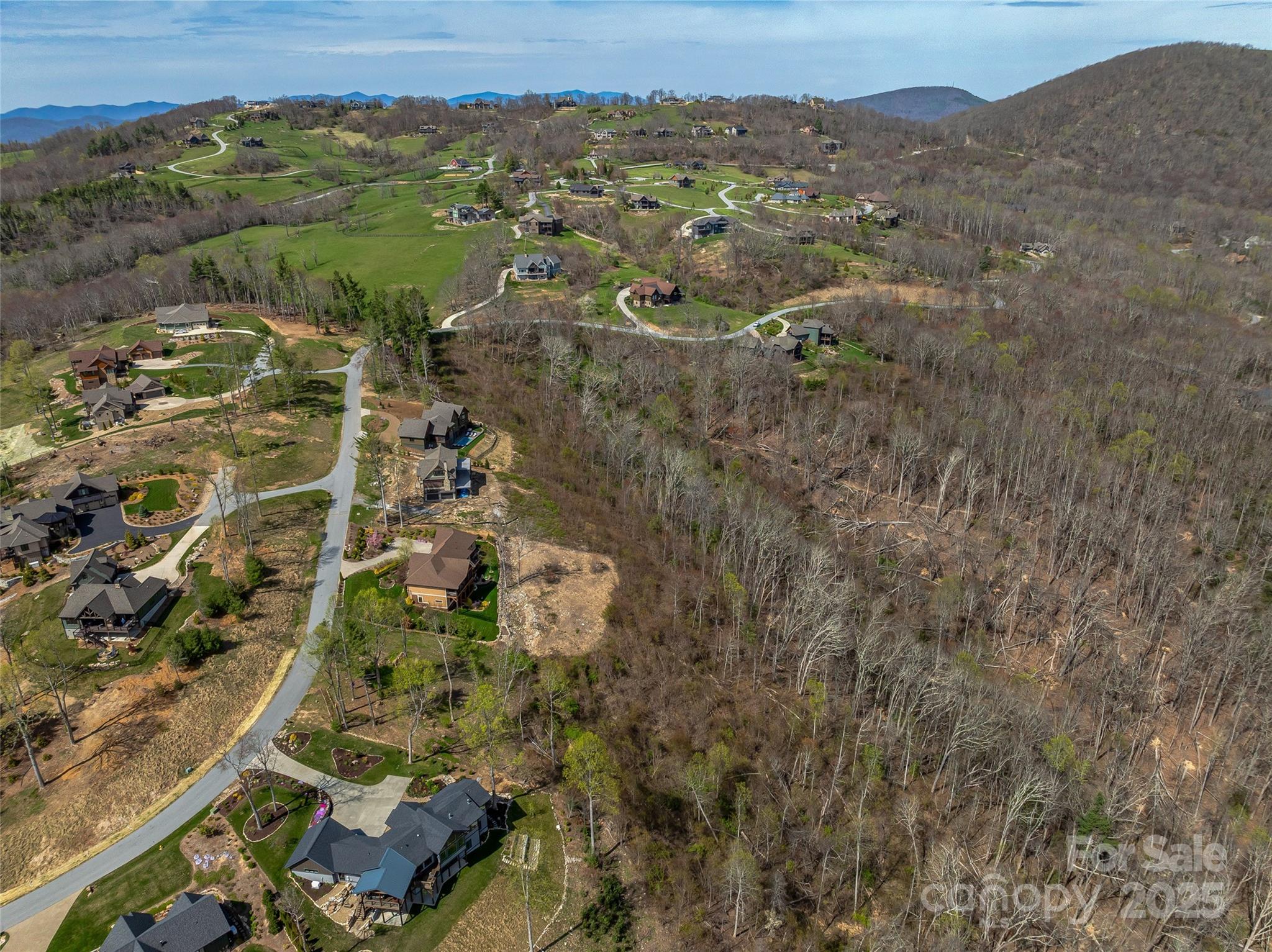 0 Dancing Bear Drive 183 Property Photo 8