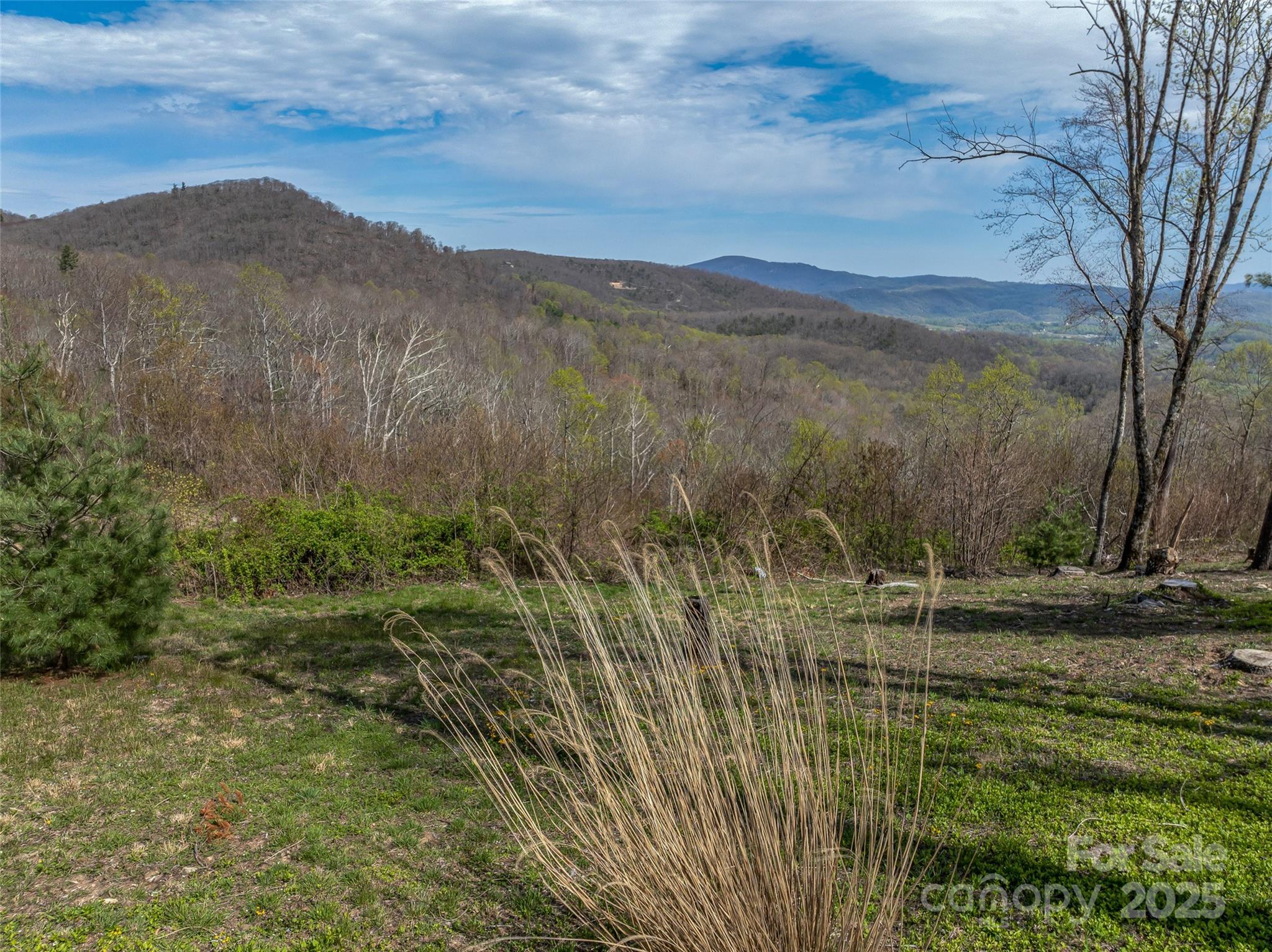 0 Dancing Bear Drive 183 Property Photo 10