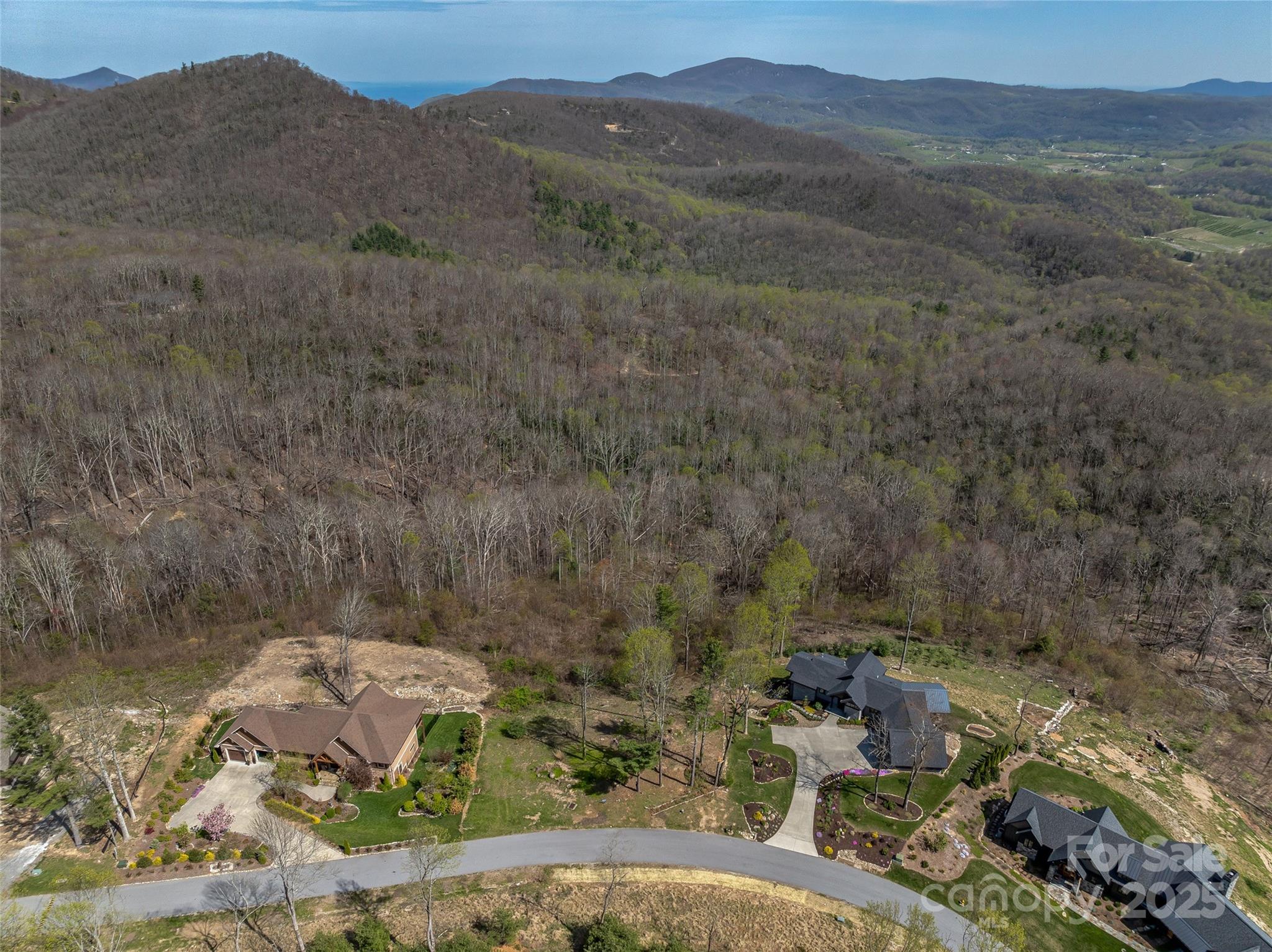 0 Dancing Bear Drive 183 Property Photo 11