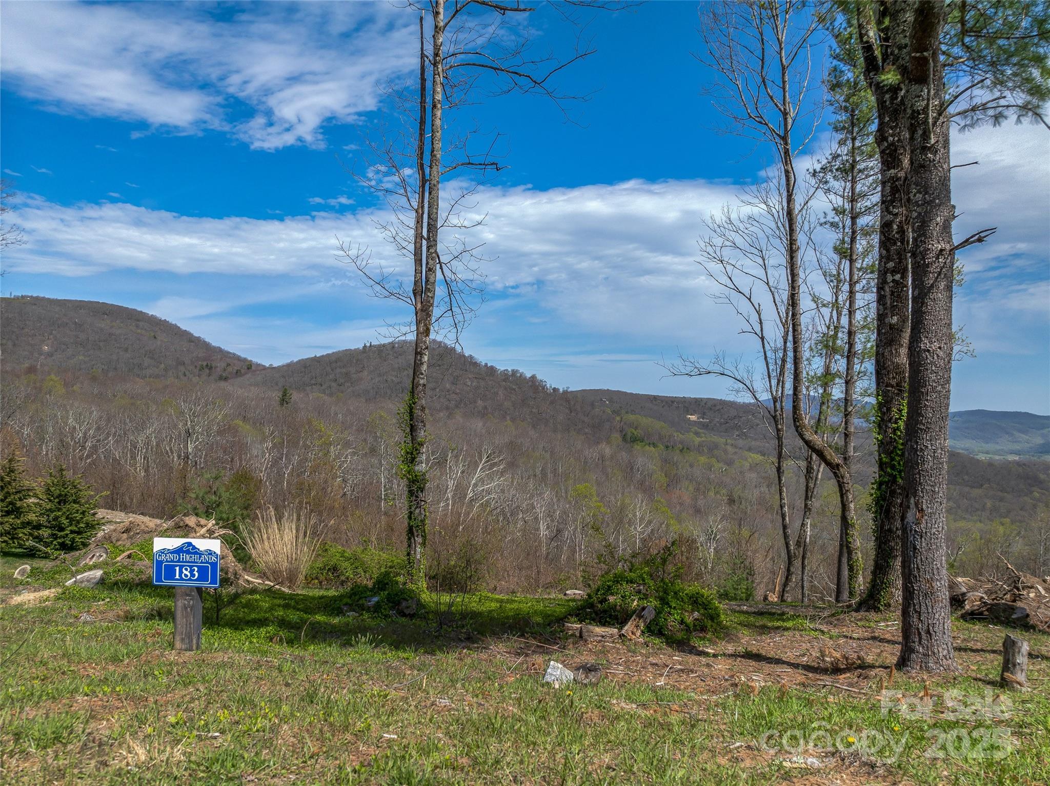 0 Dancing Bear Drive 183 Property Photo 13