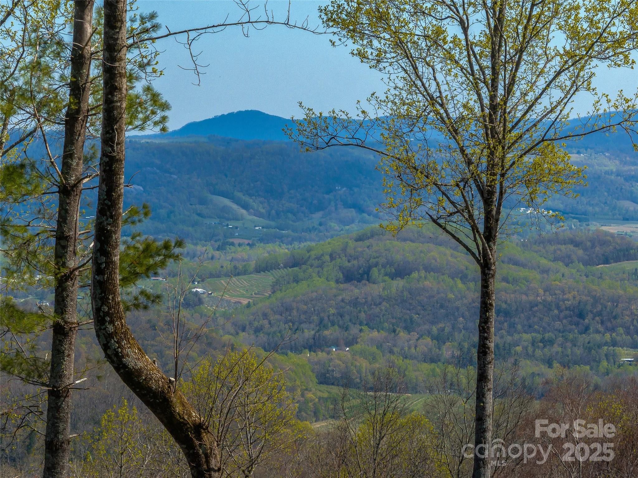 0 Dancing Bear Drive 183 Property Photo 14
