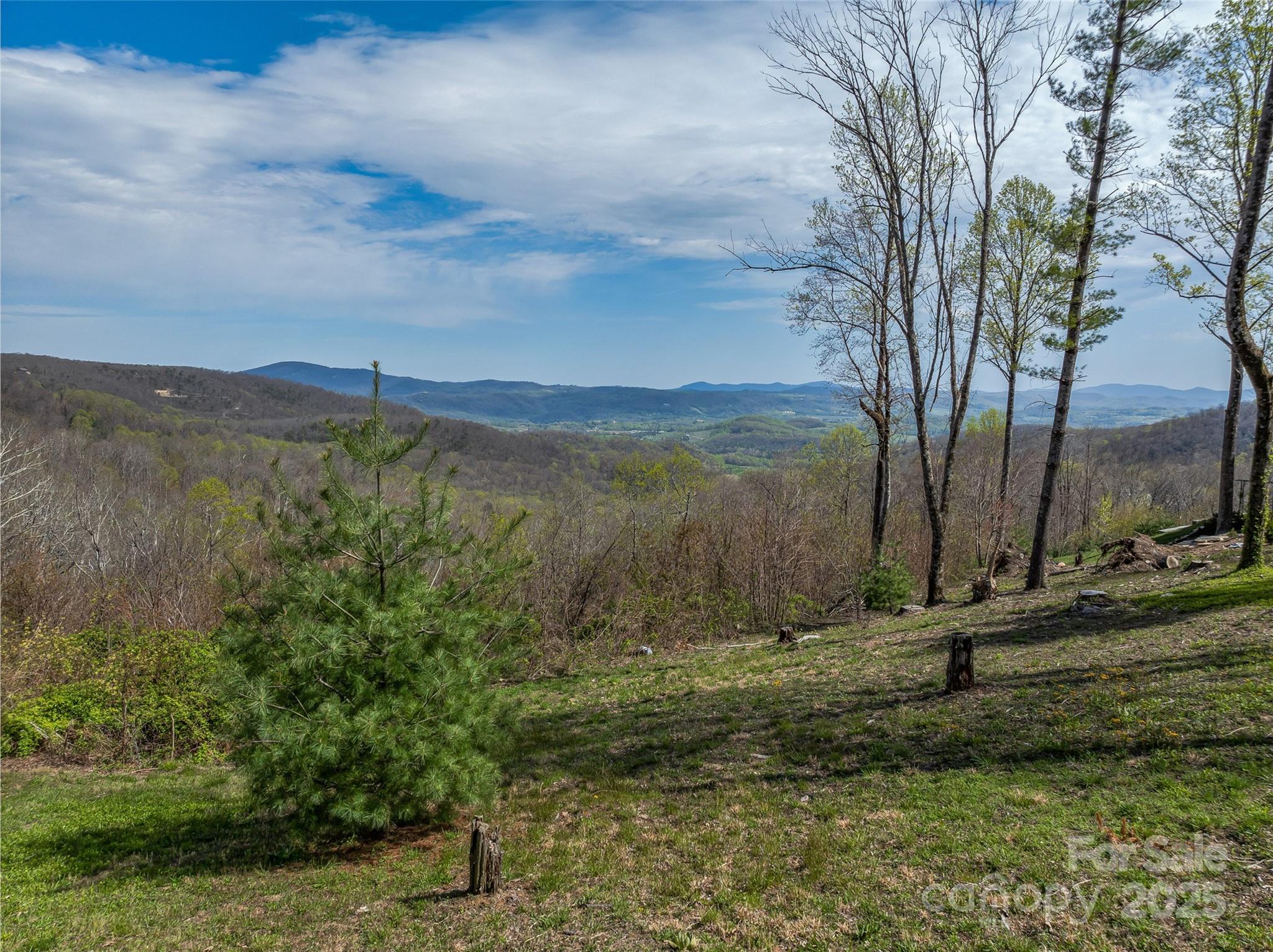 0 Dancing Bear Drive 183 Property Photo 17