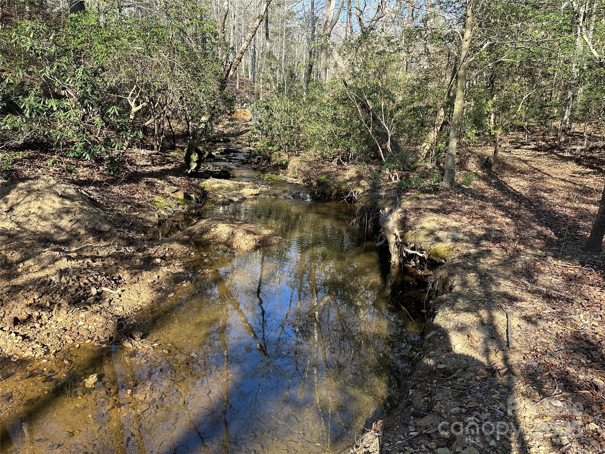 00 Goose Creek Drive Property Photo 3