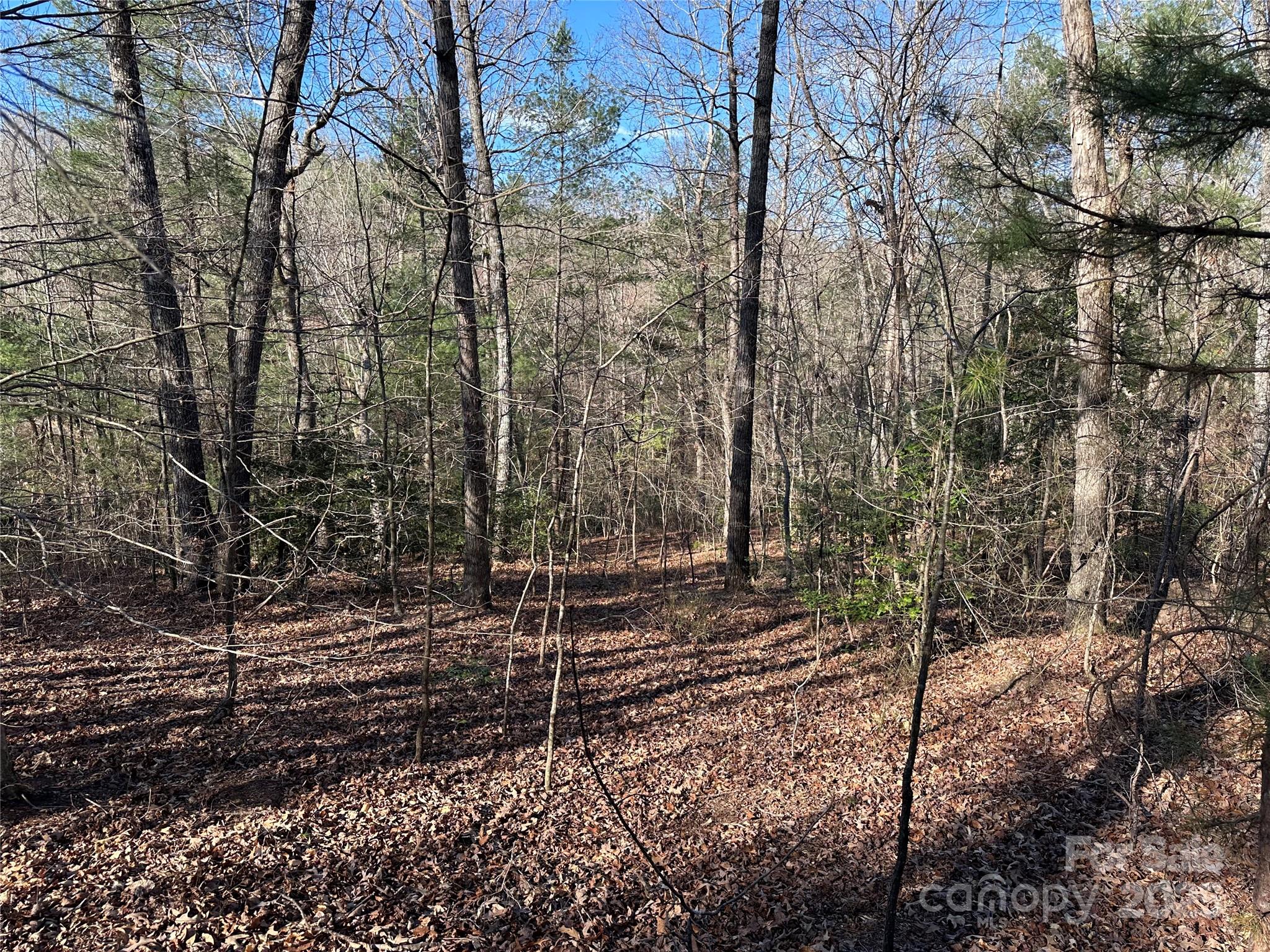 00 Goose Creek Drive Property Photo 4