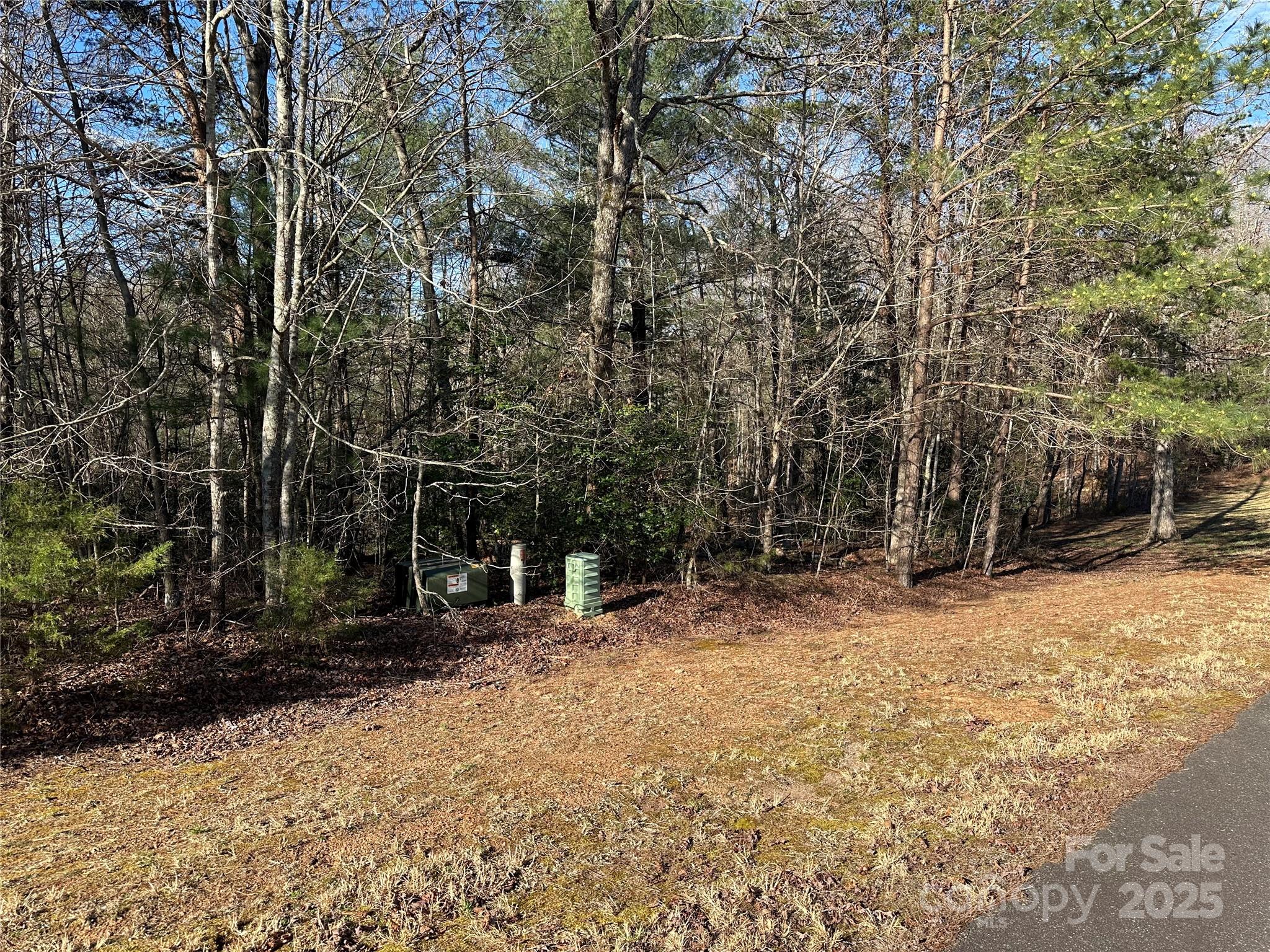 00 Goose Creek Drive Property Photo 5