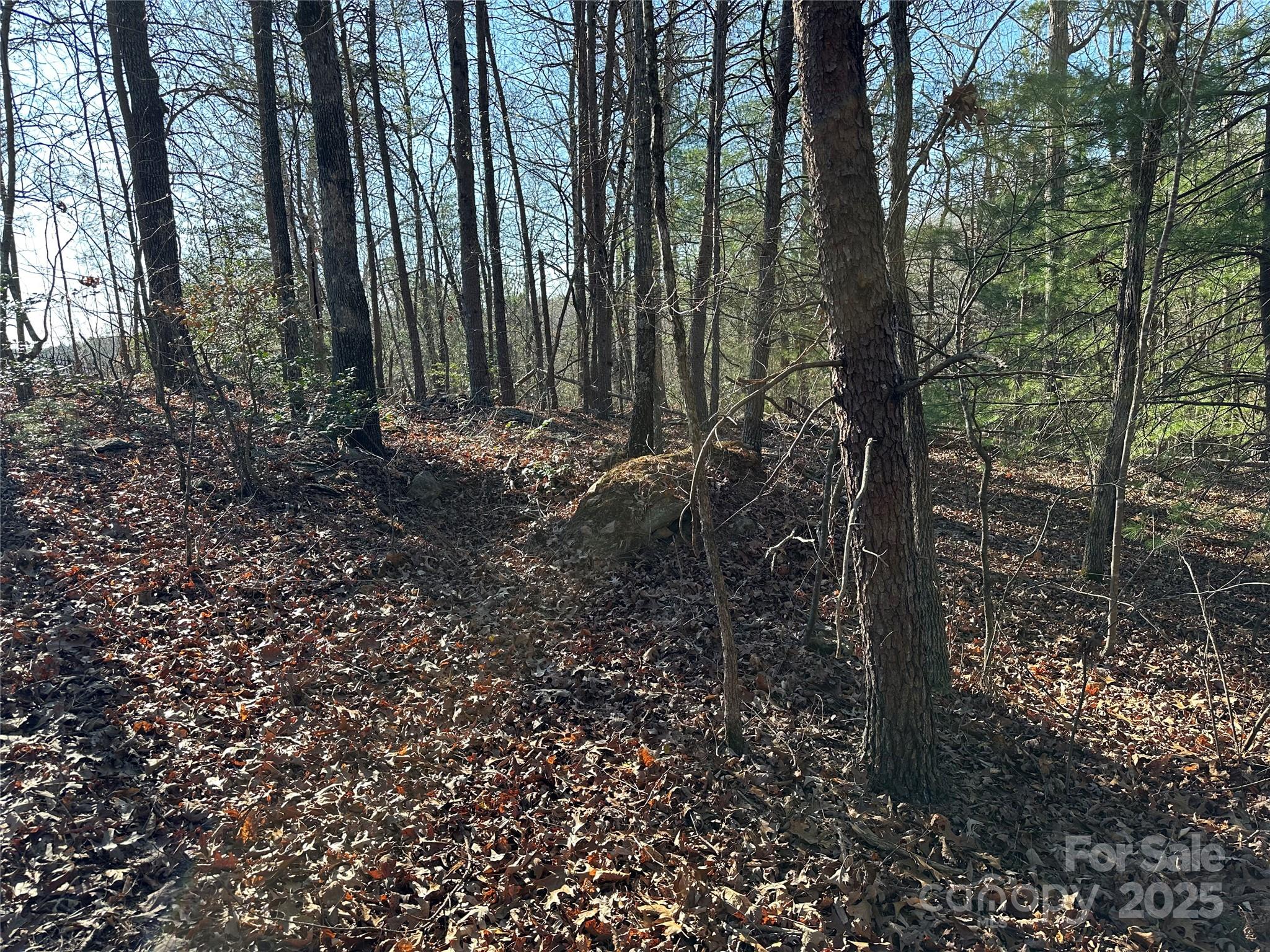 00 Goose Creek Drive Property Photo 7