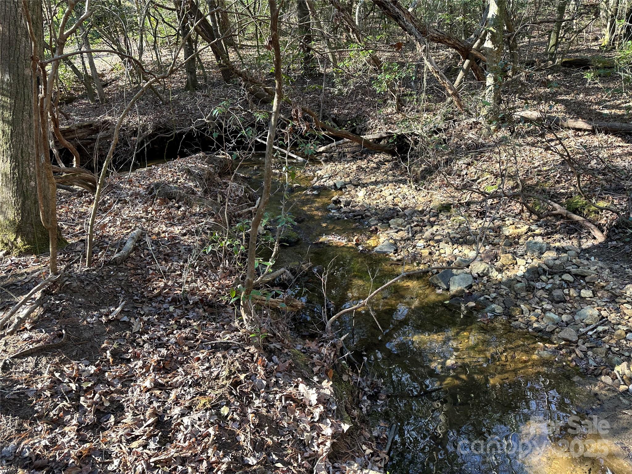 00 Goose Creek Drive Property Photo 8