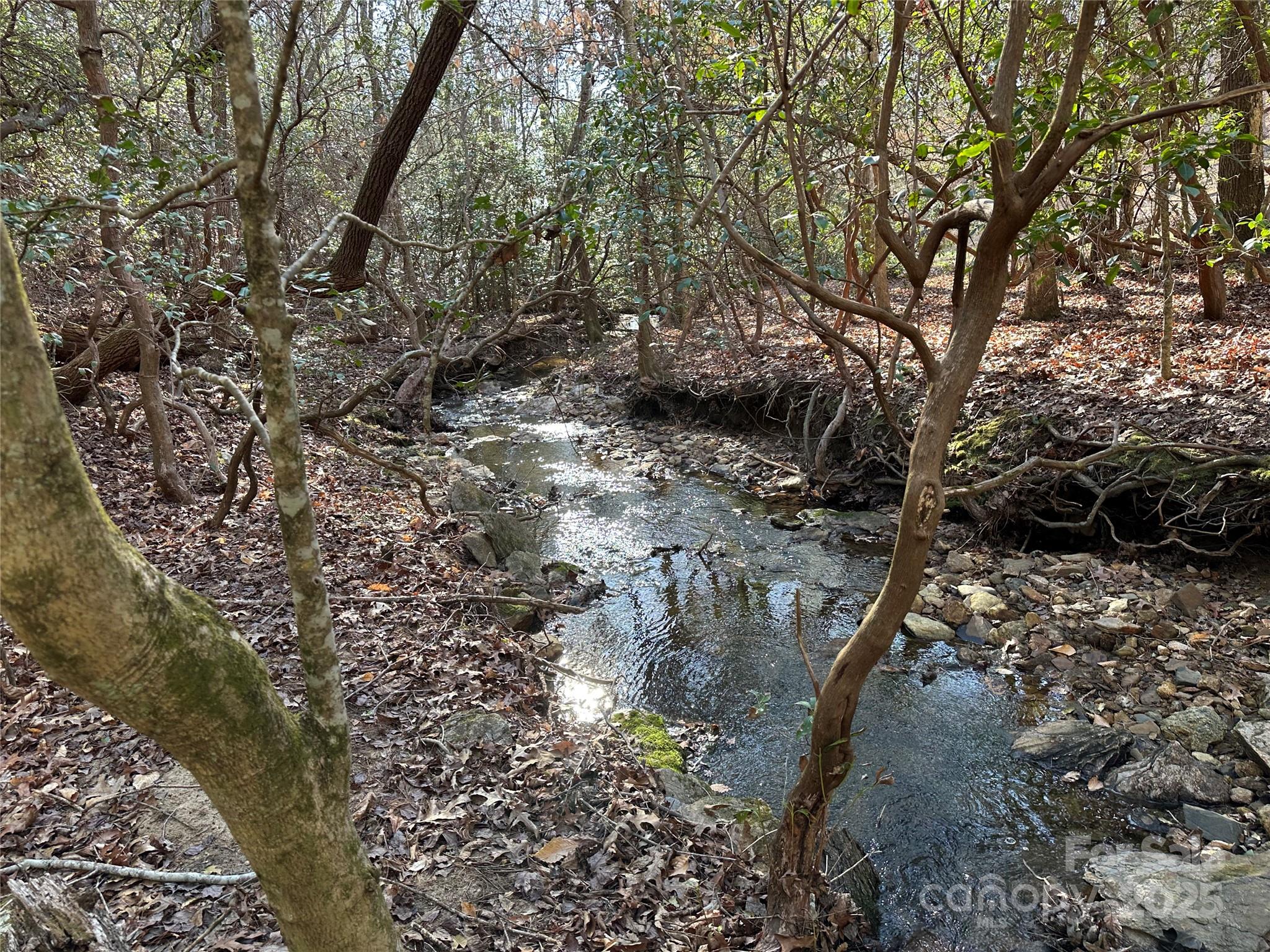 00 Goose Creek Drive Property Photo 9