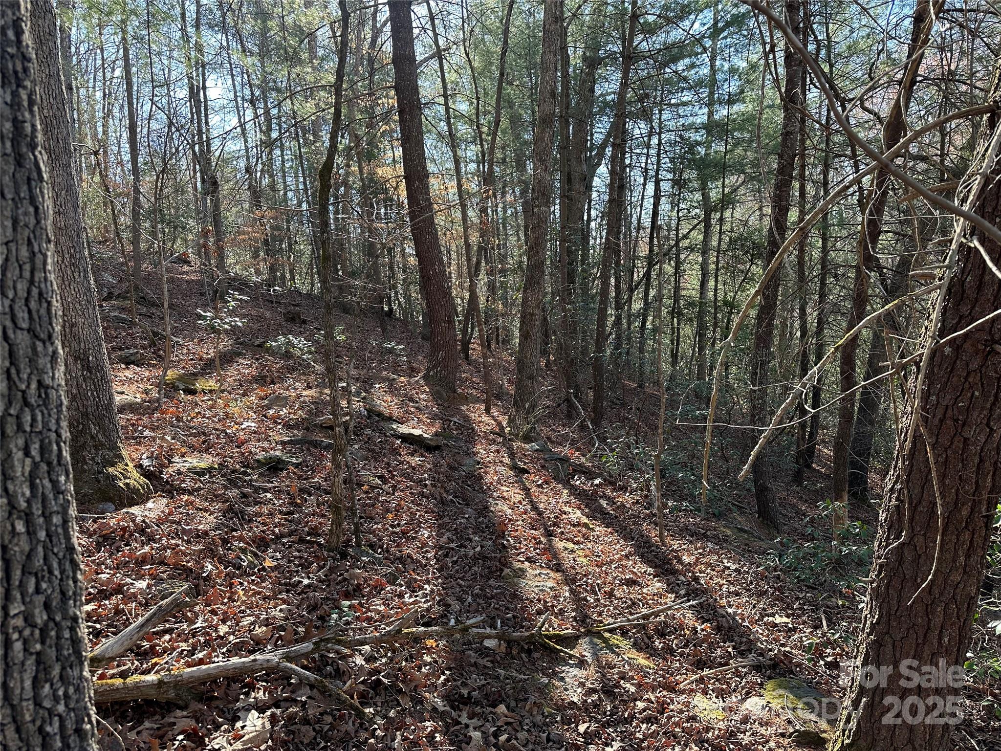 00 Goose Creek Drive Property Photo 10