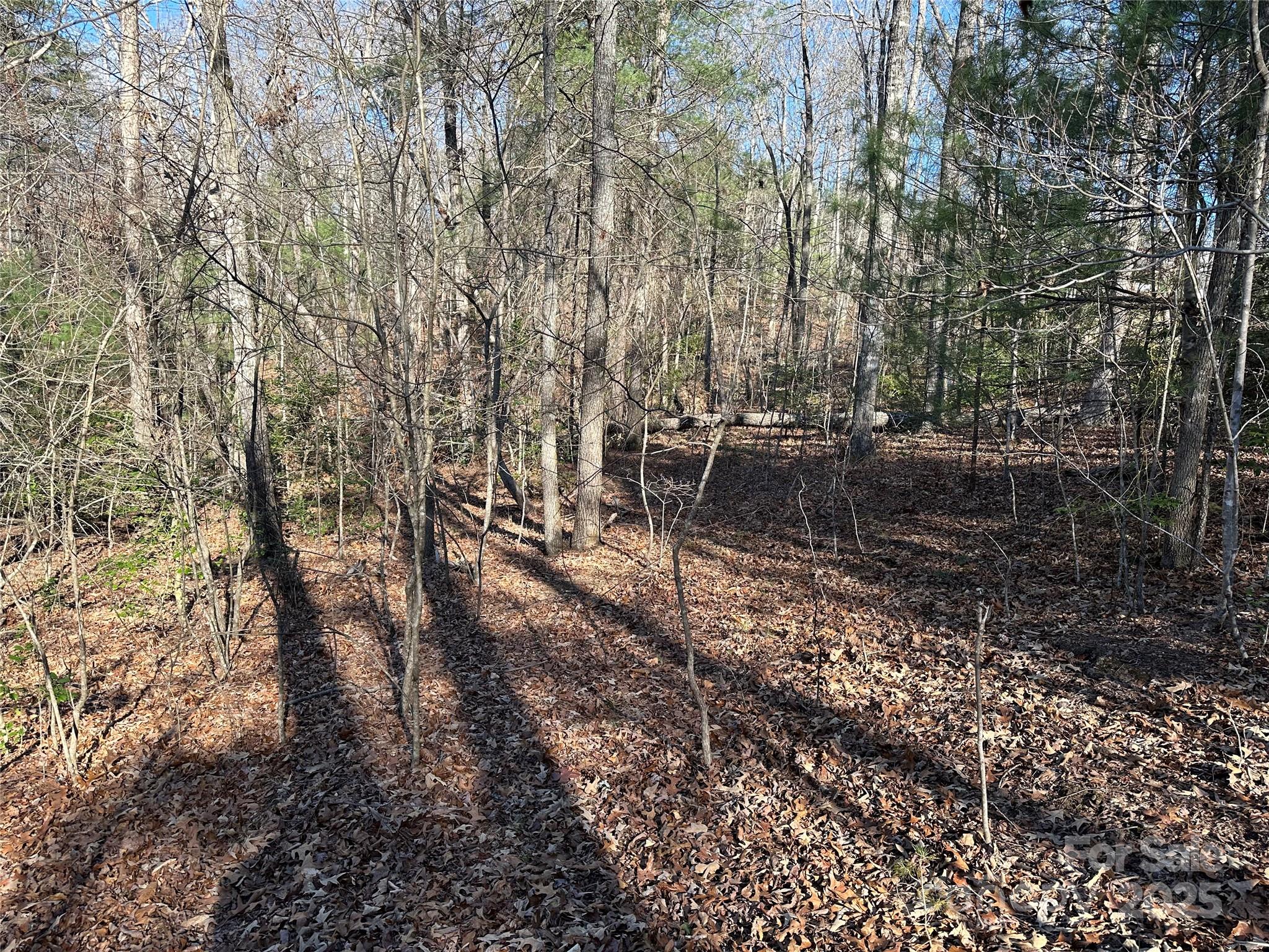 00 Goose Creek Drive Property Photo 11