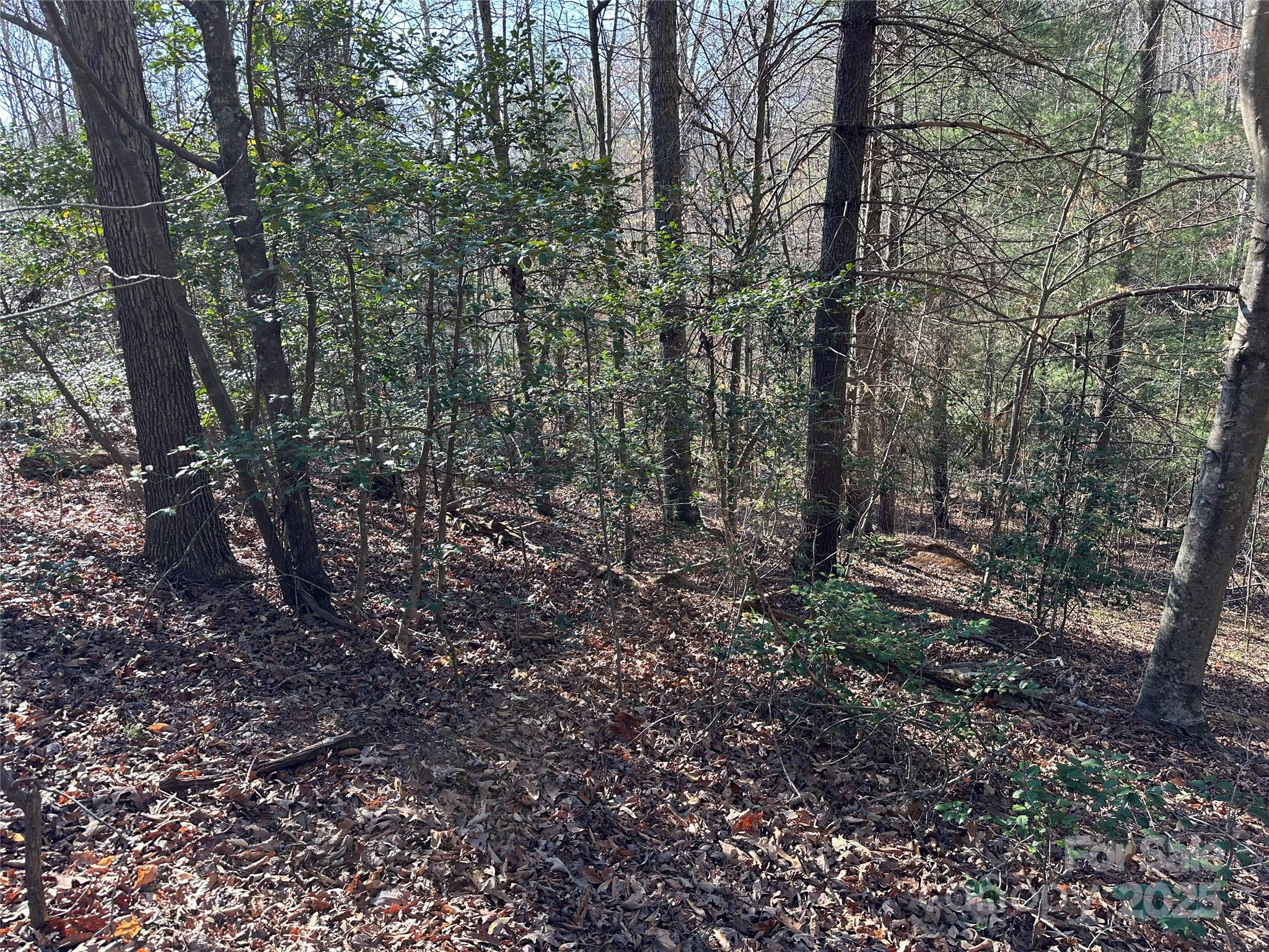 00 Goose Creek Drive Property Photo 12