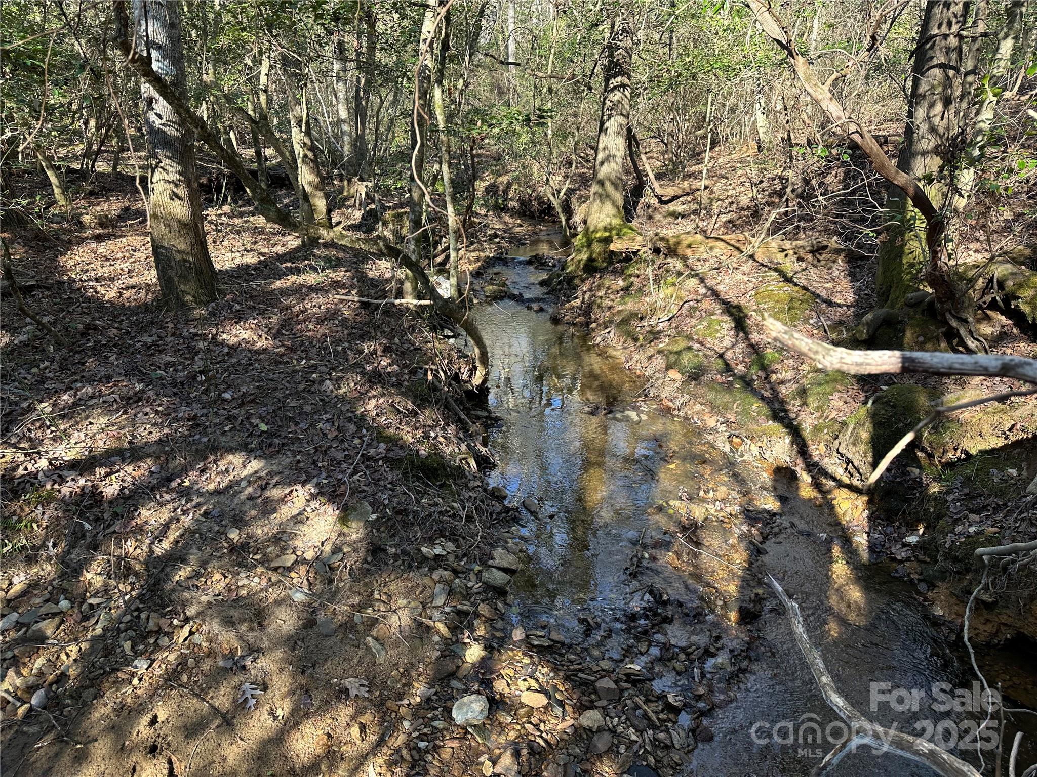 00 Goose Creek Drive Property Photo 13