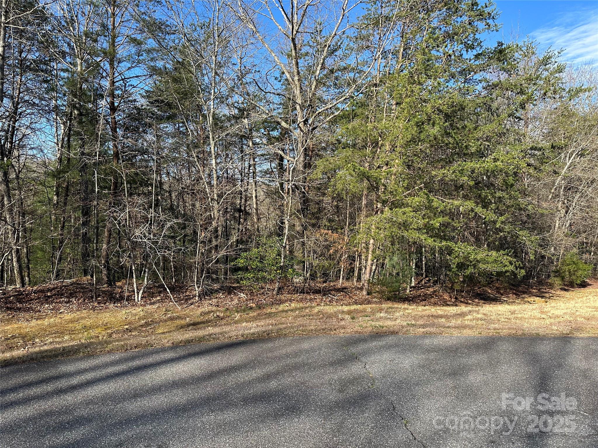 00 Goose Creek Drive Property Photo 14