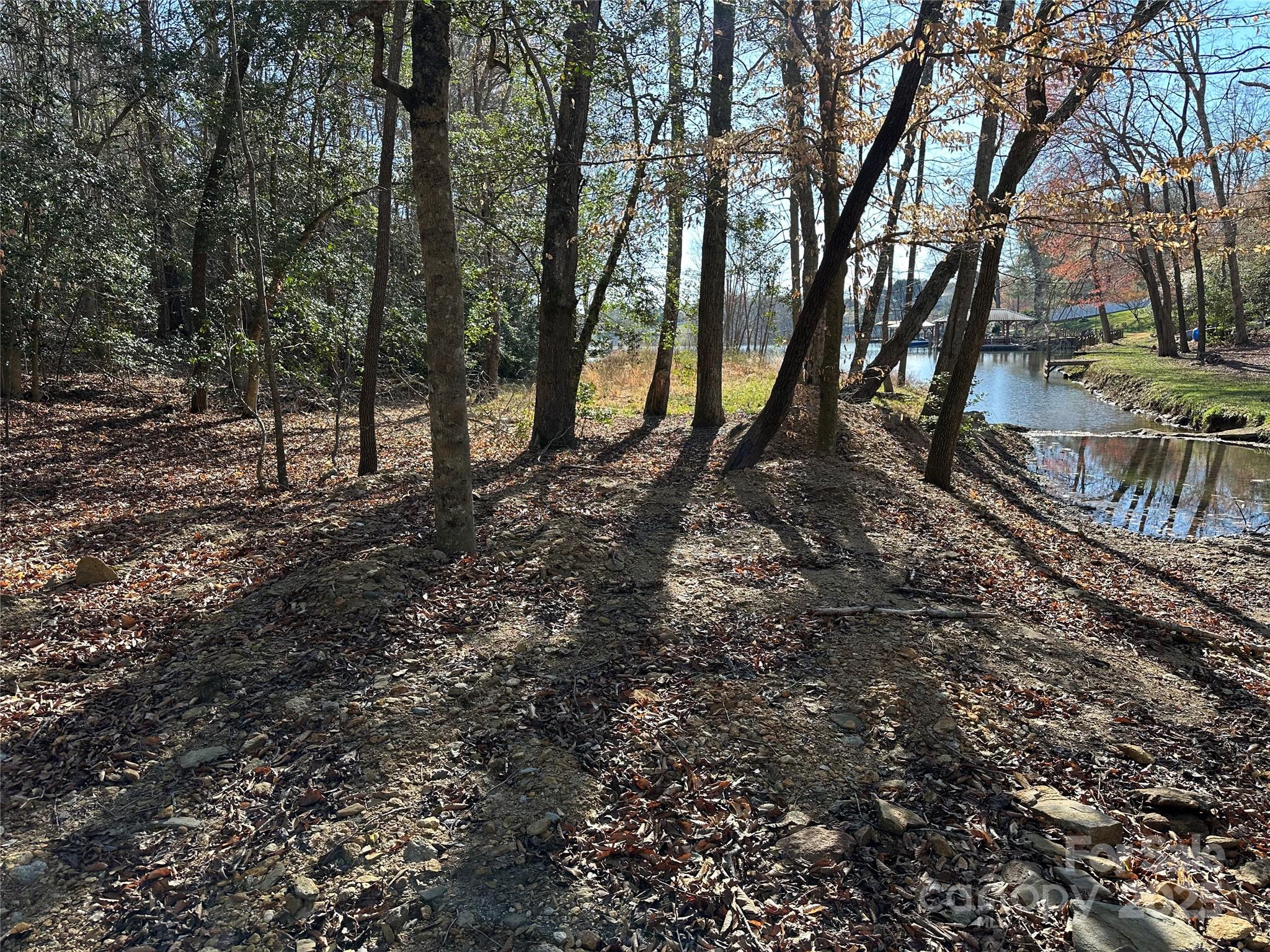 00 Goose Creek Drive Property Photo 17