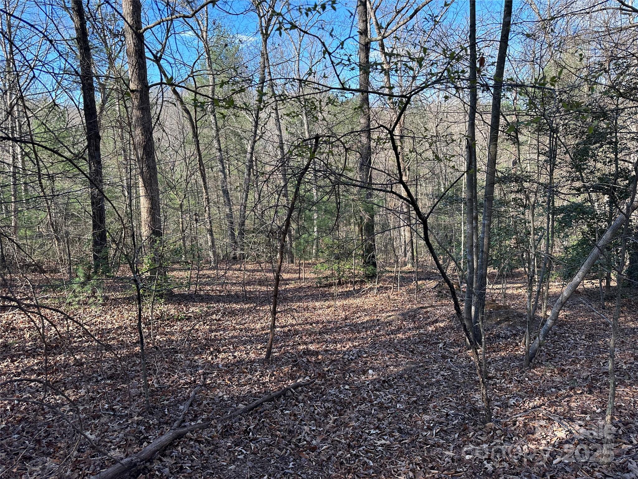 00 Goose Creek Drive Property Photo 18