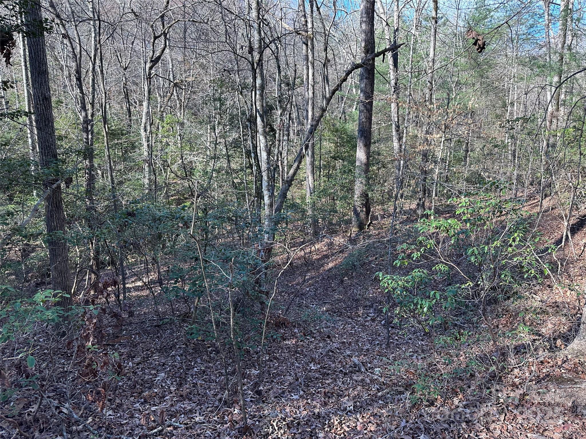 00 Goose Creek Drive Property Photo 20