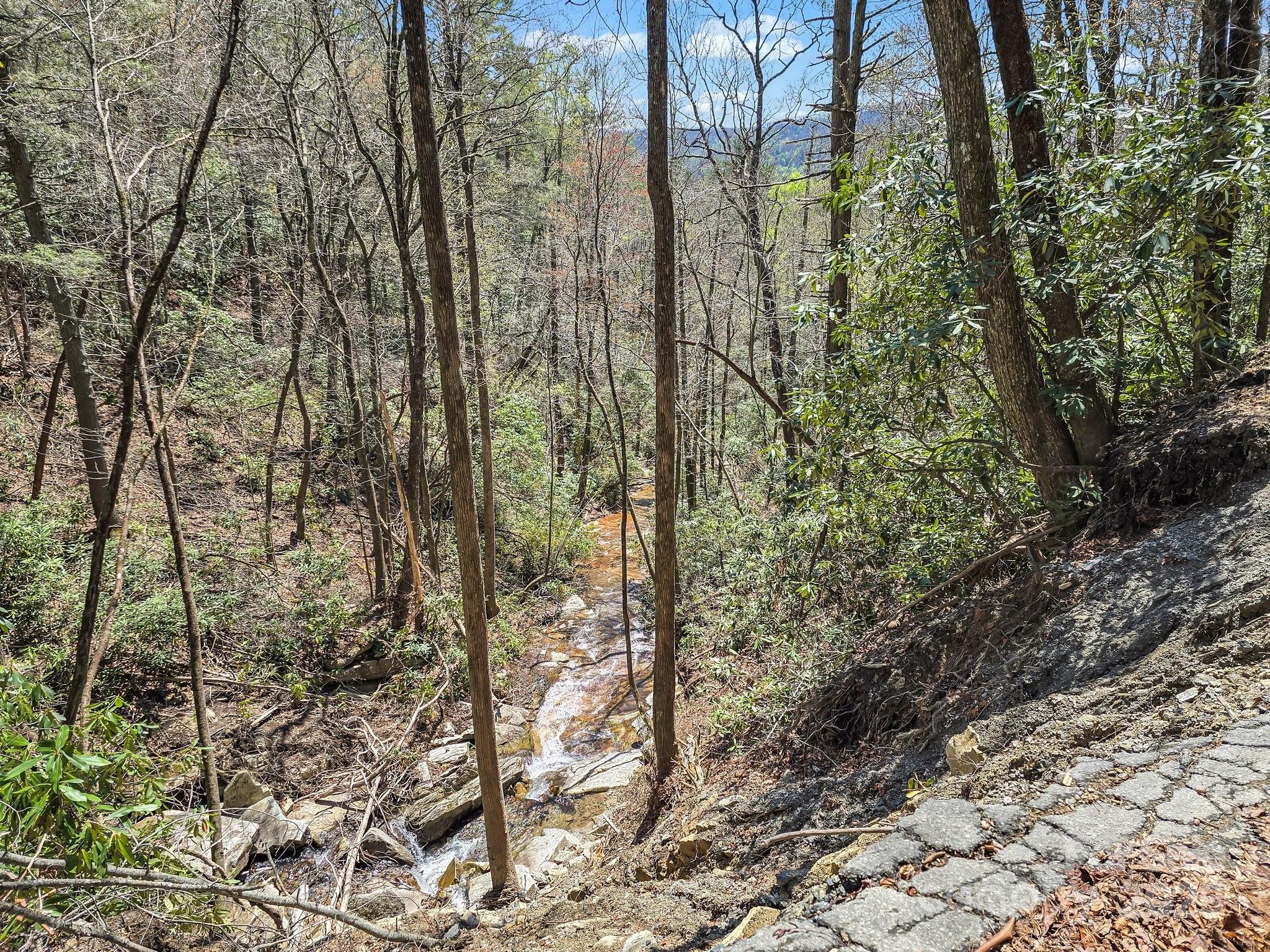 00 Bulling Creek Drive Property Photo 8