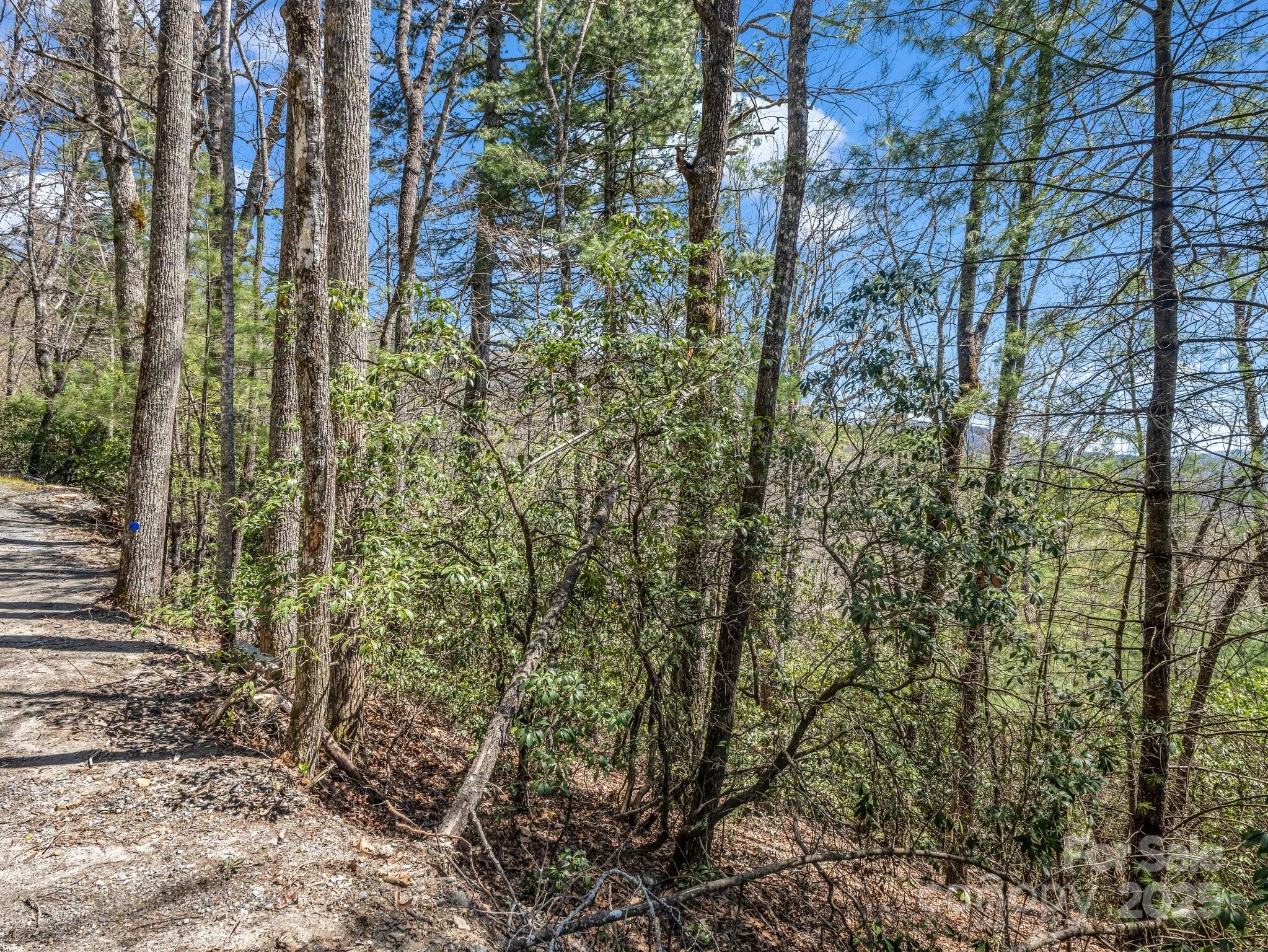 00 Bulling Creek Drive Property Photo 13
