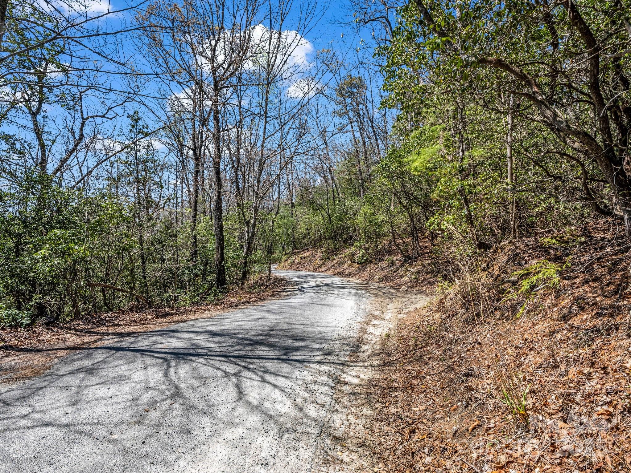 00 Bulling Creek Drive Property Photo 15