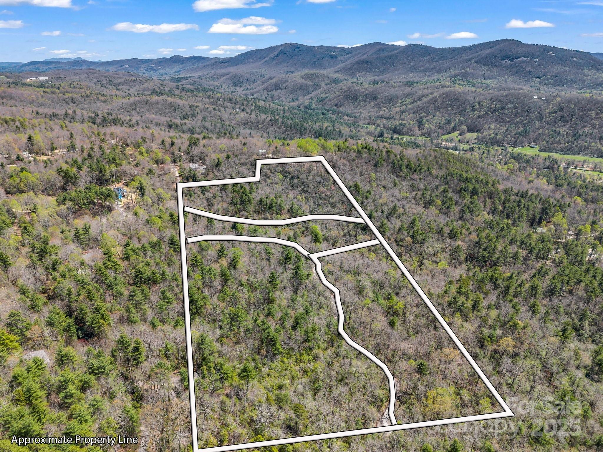 000 Bulling Creek Drive Property Photo 3