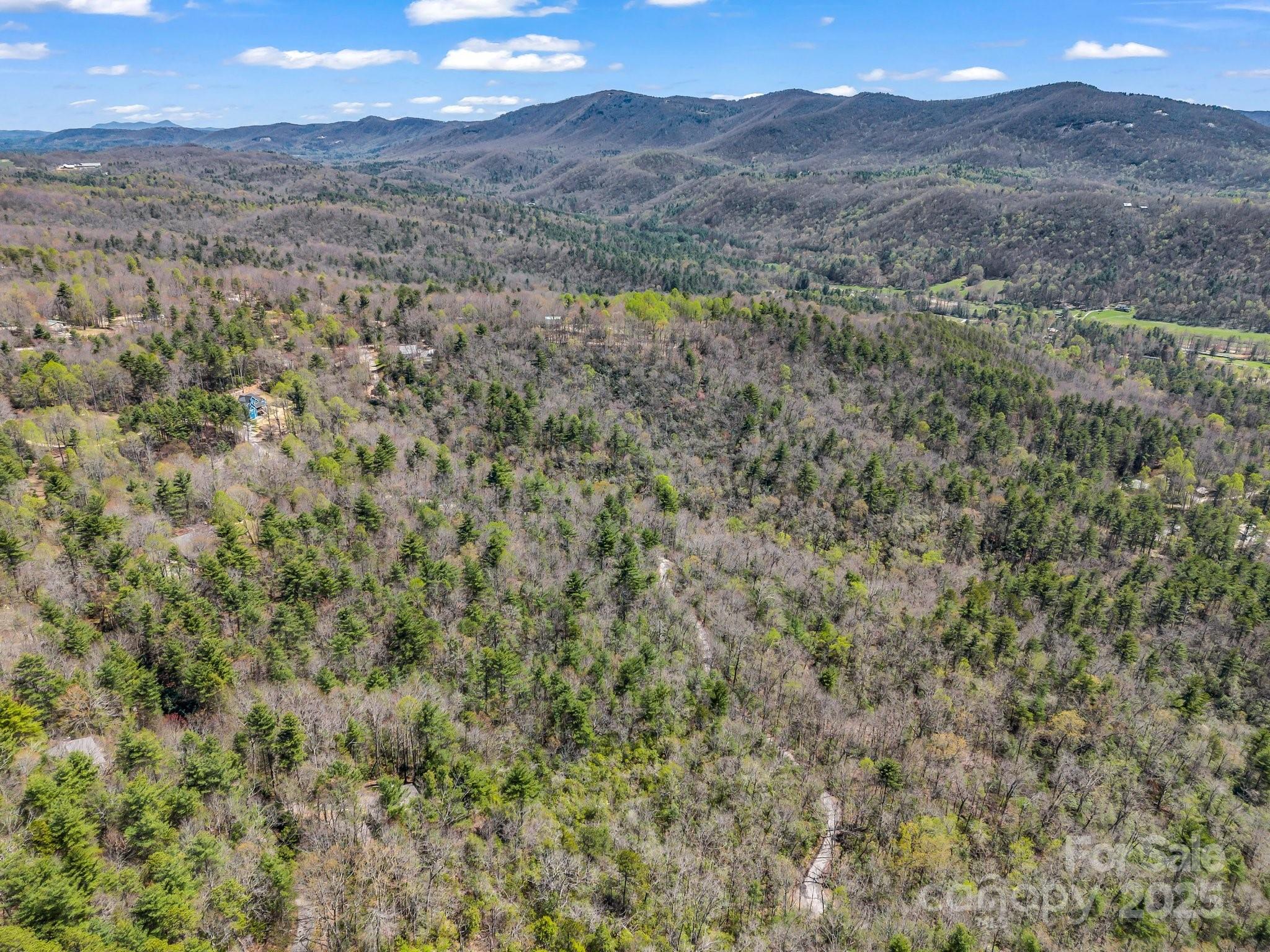 000 Bulling Creek Drive Property Photo 32