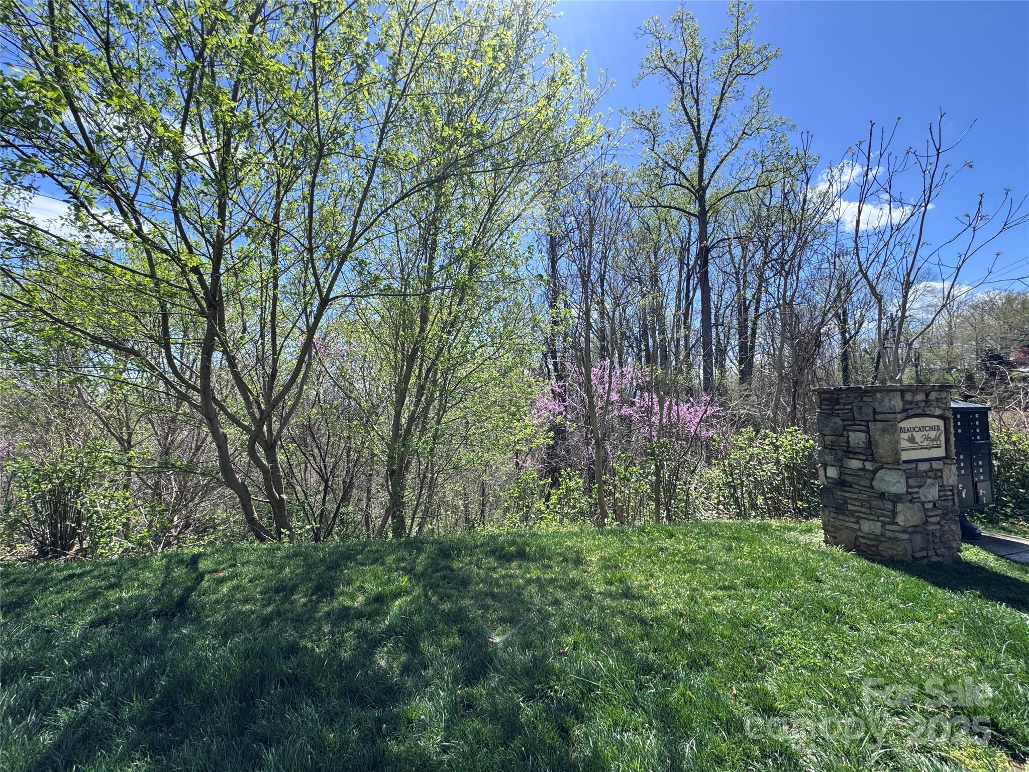 44 Samuel Ashe Drive Property Photo 4