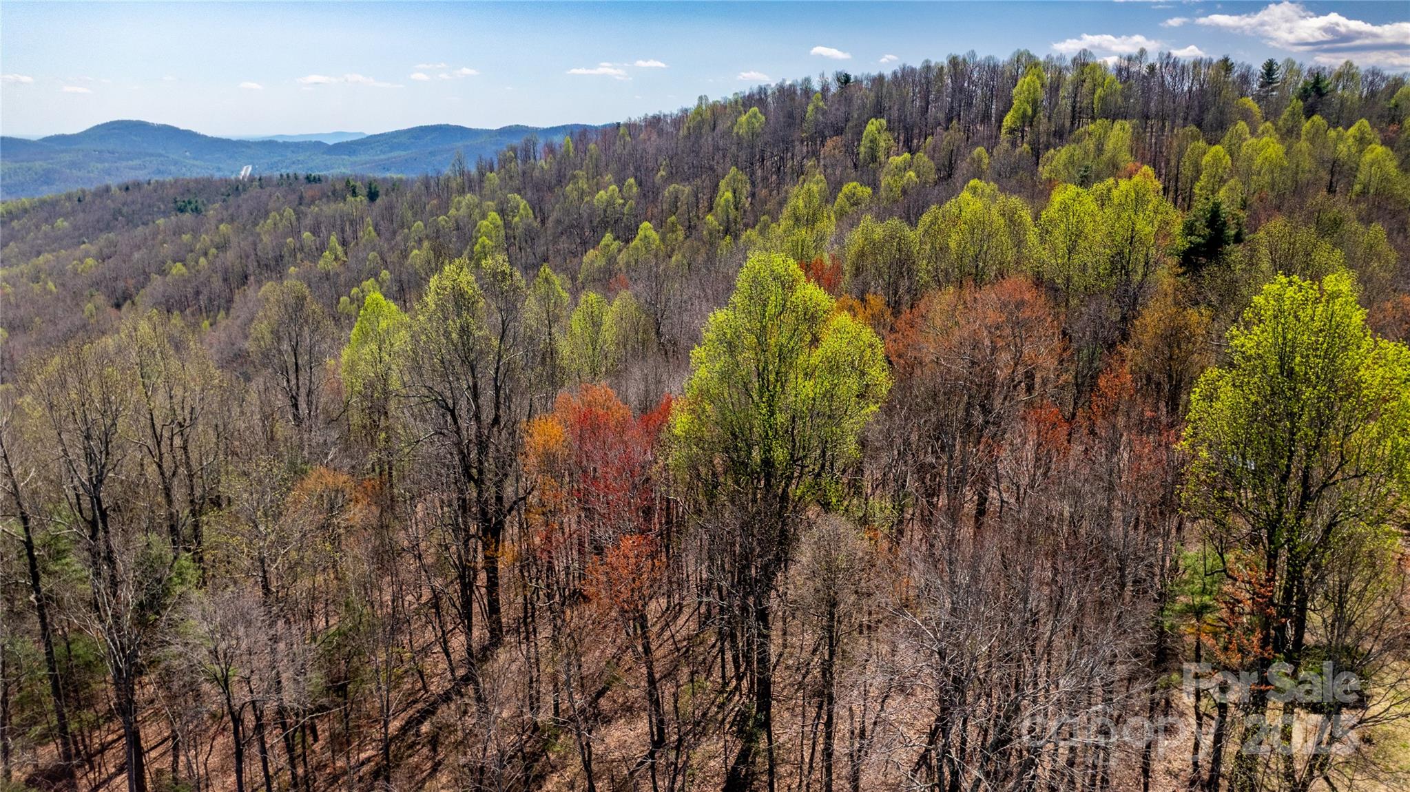 3509 Pinnacle Mountain Road Property Photo 10