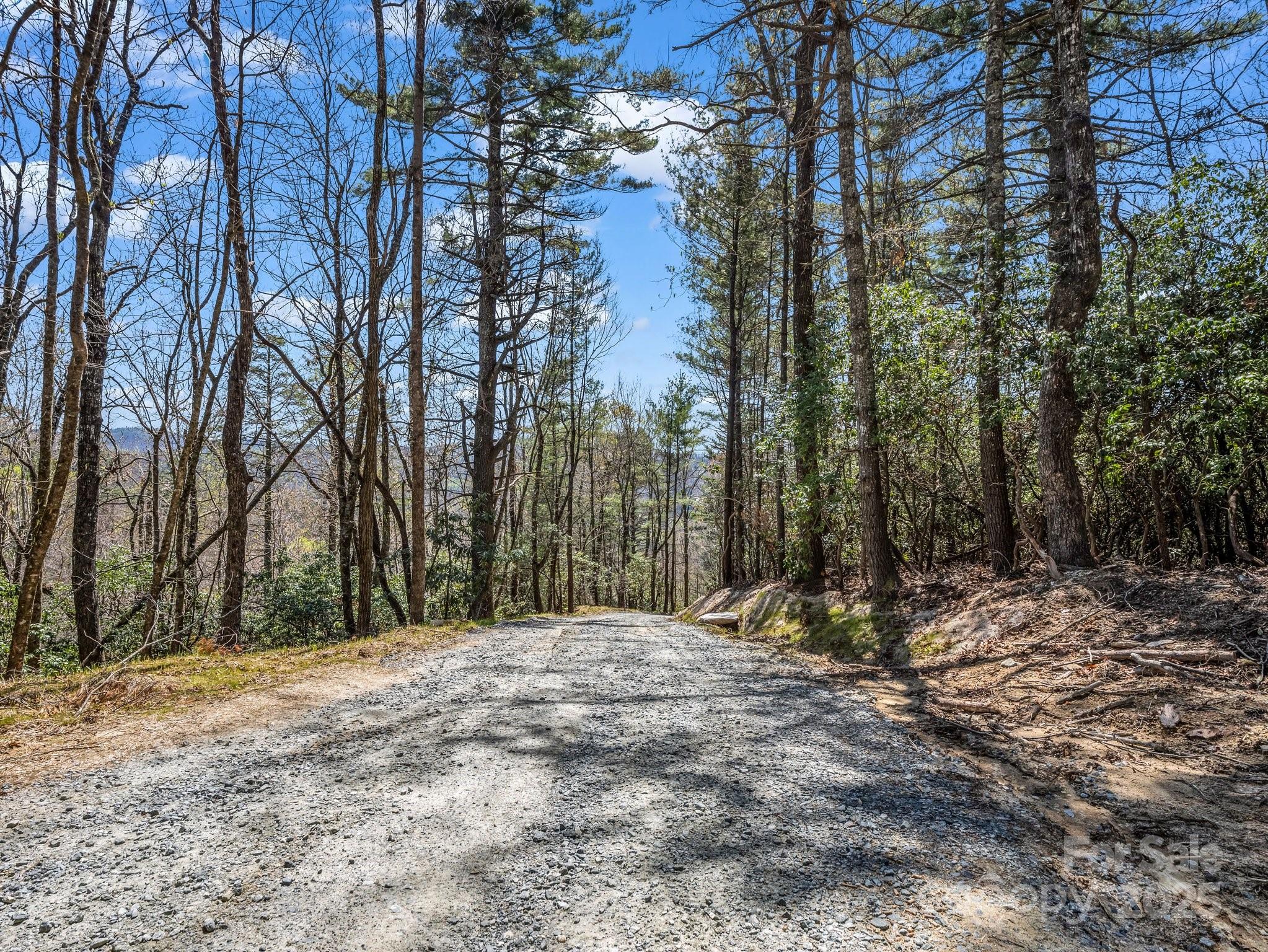 0000 Bulling Creek Drive Property Photo 8