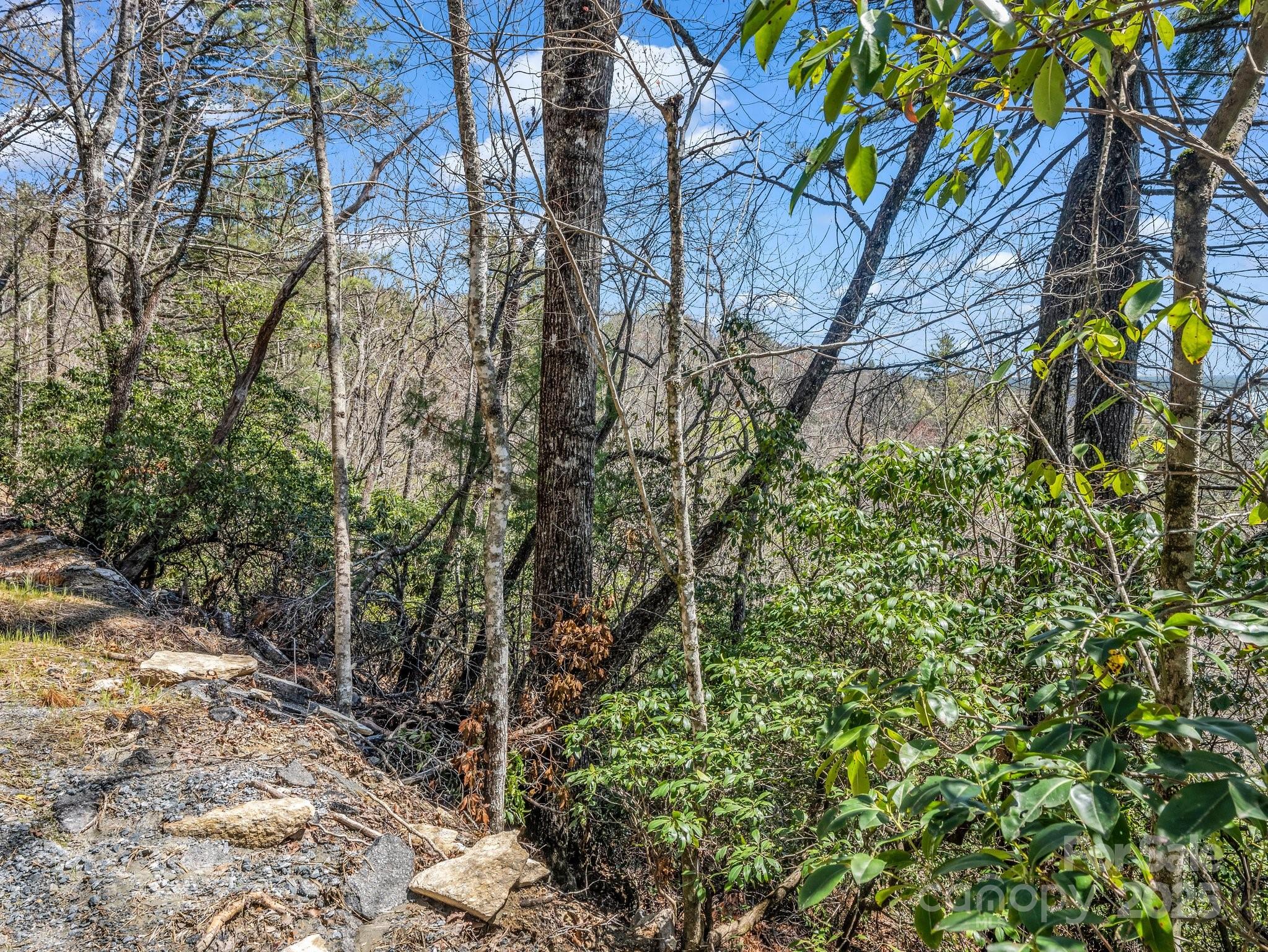 0000 Bulling Creek Drive Property Photo 10