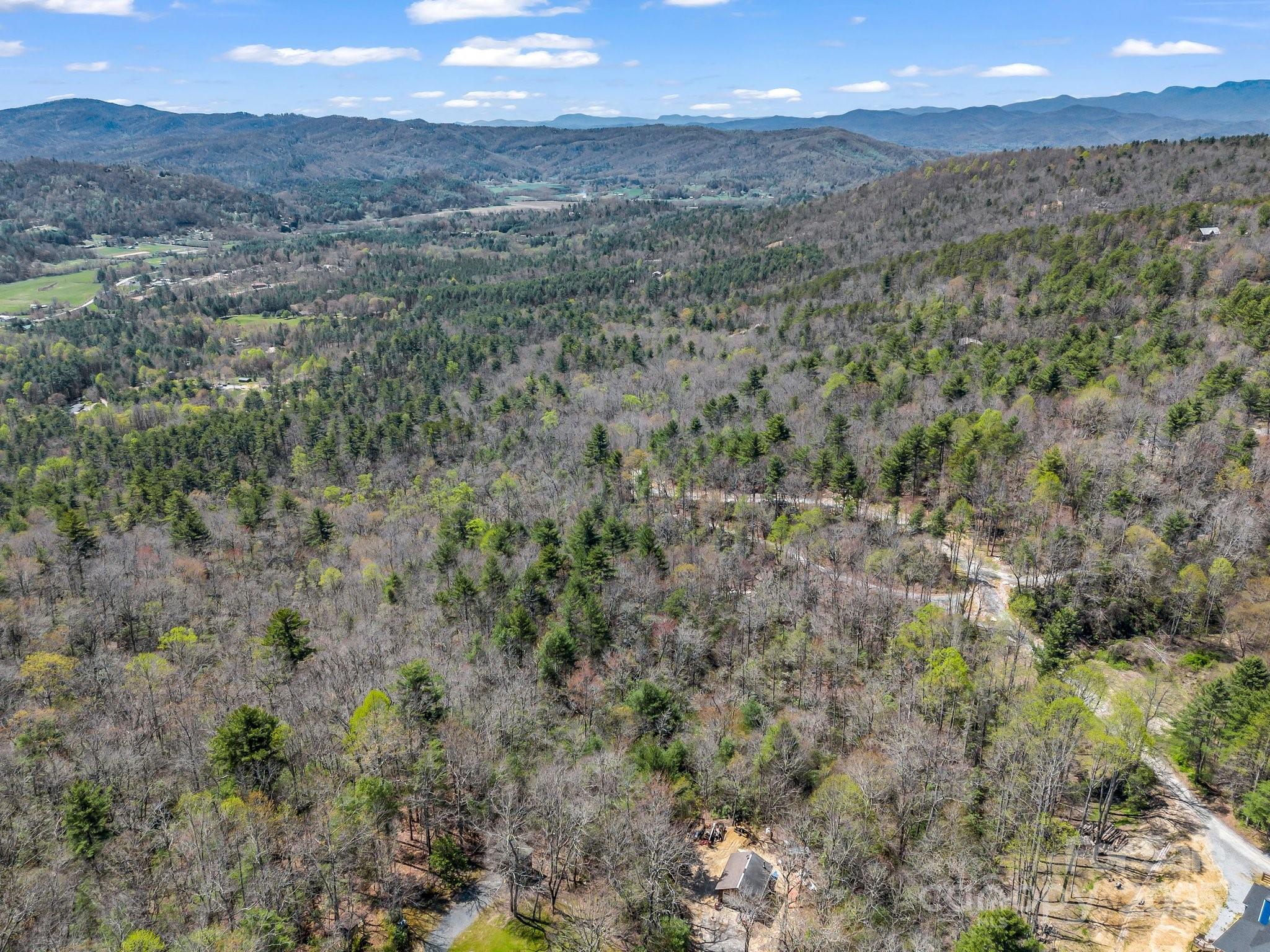 0000 Bulling Creek Drive Property Photo 18