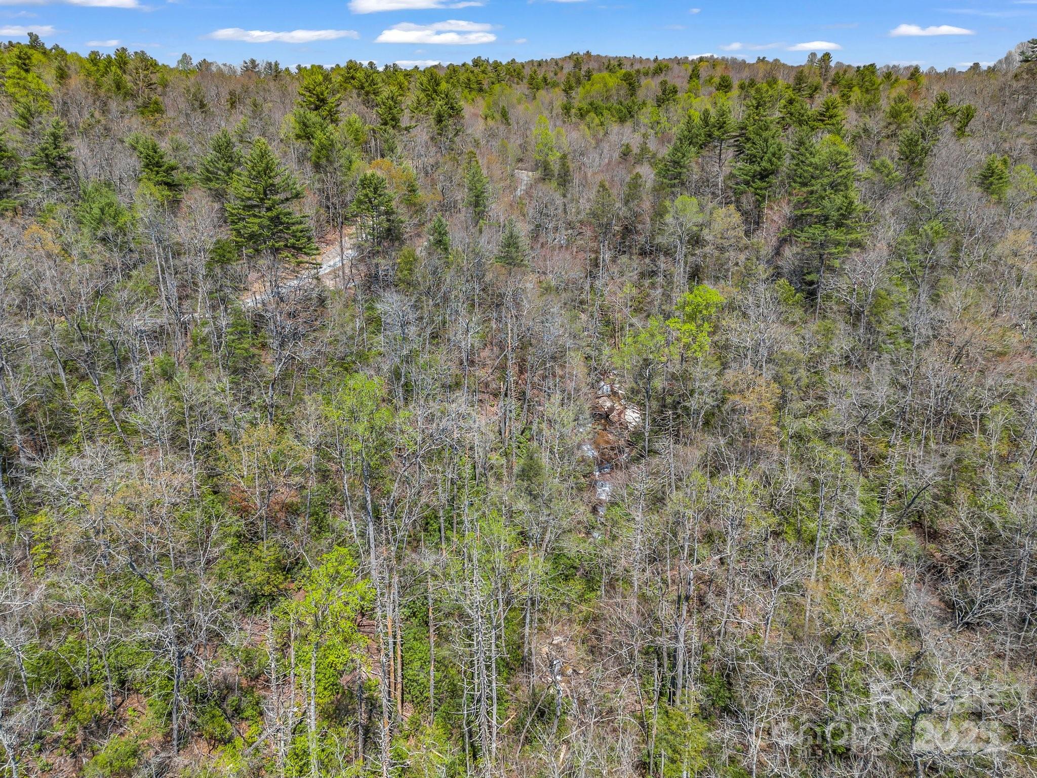 0000 Bulling Creek Drive Property Photo 33