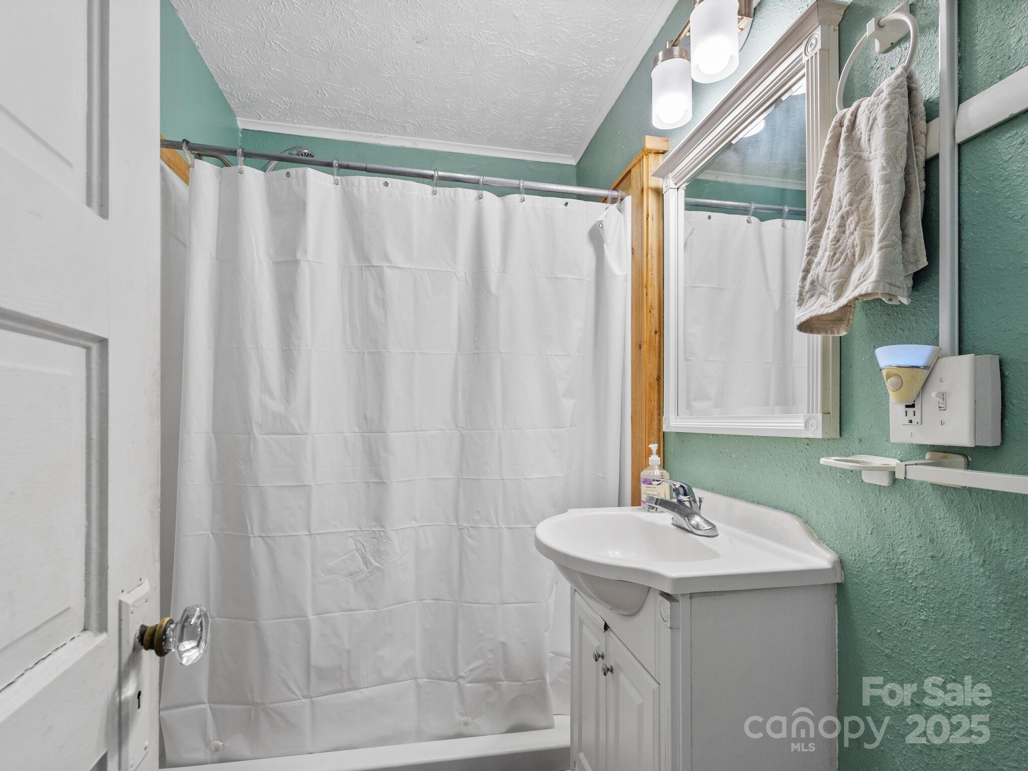 11 Old Candler Town Road Property Photo 24