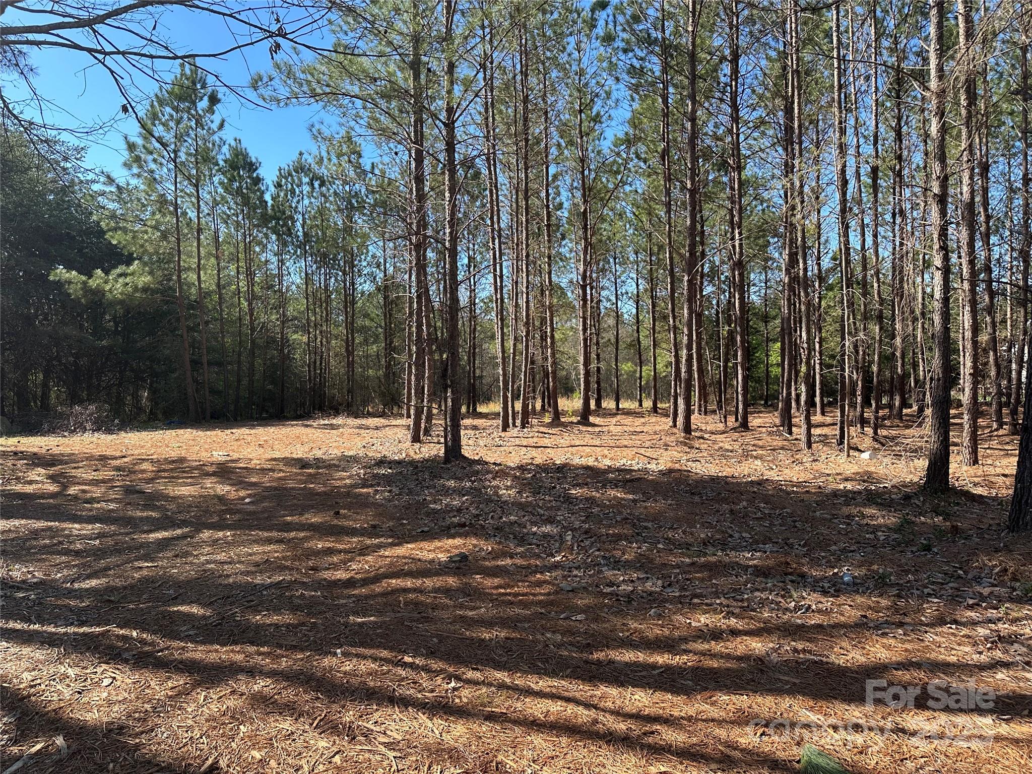 4265 East Maiden Road Property Photo 1