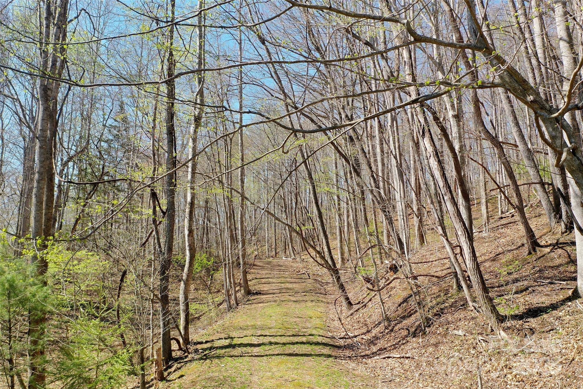 Tract 1,2 & 3 Top Drop Lane Property Photo