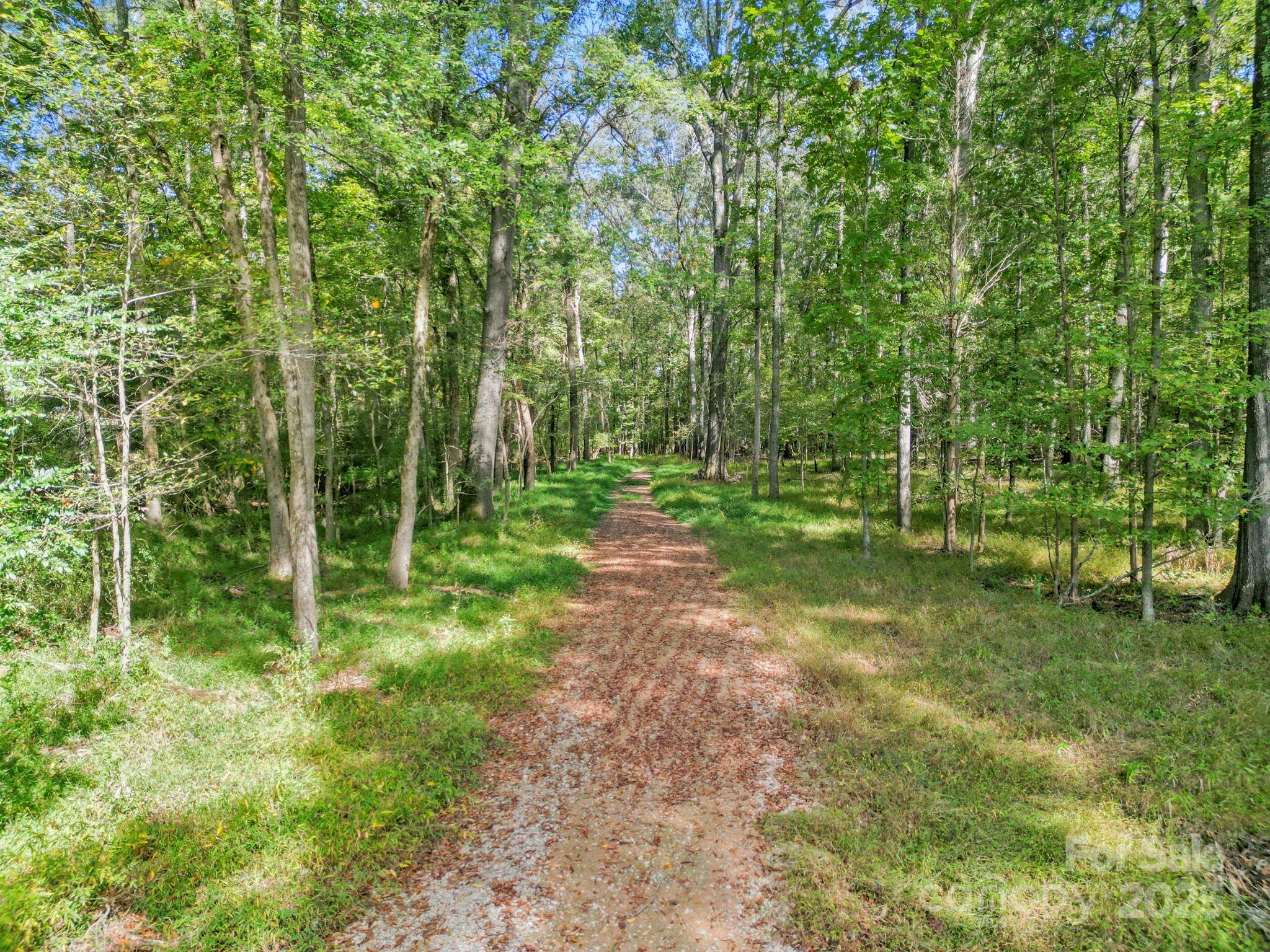 5908 Will Plyler Road Property Photo 1