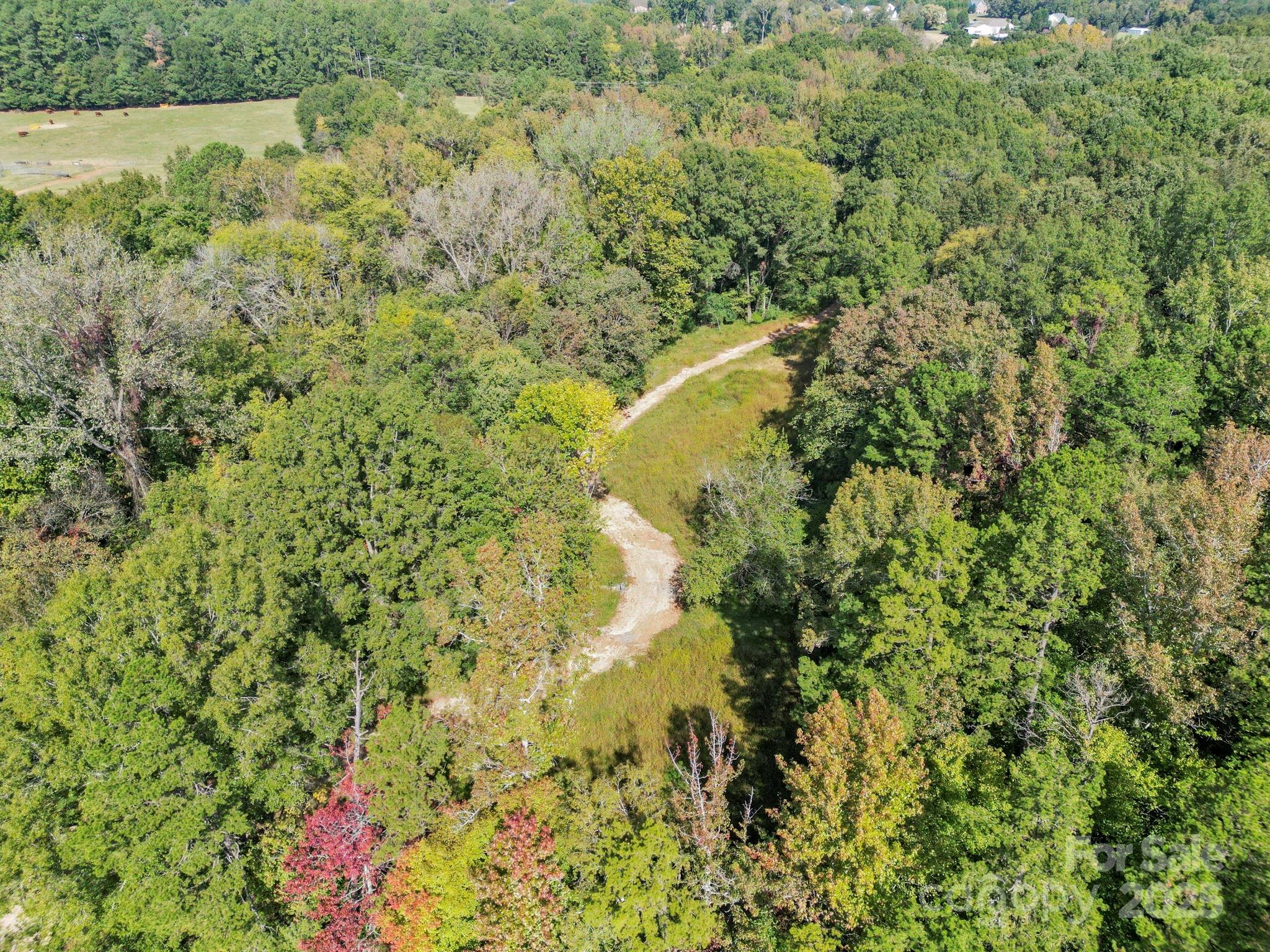 5908 Will Plyler Road Property Photo 5