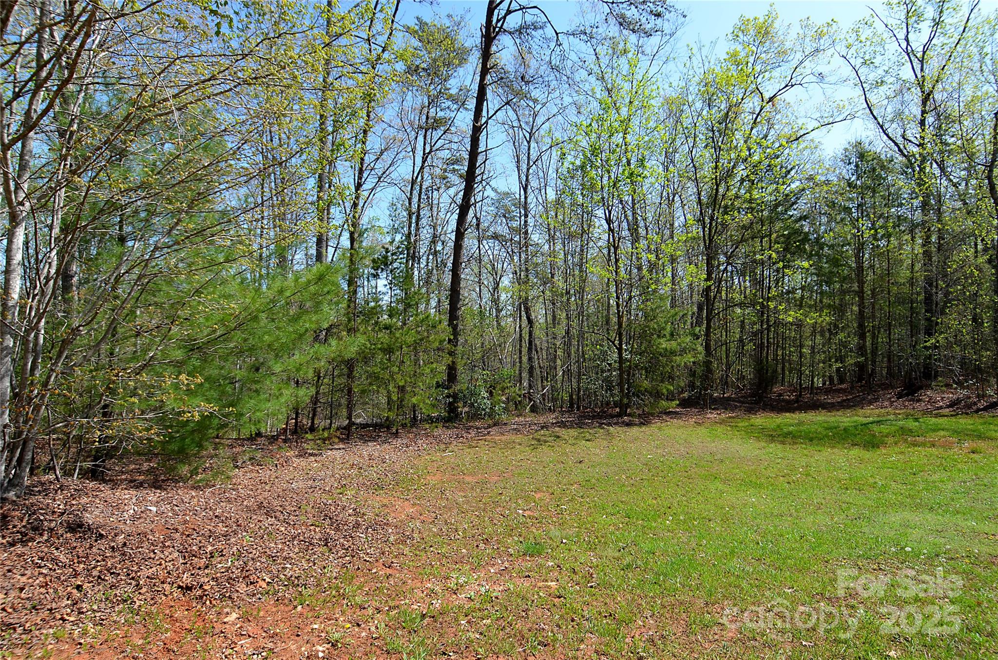 00 Forest Country Drive 48 Property Photo
