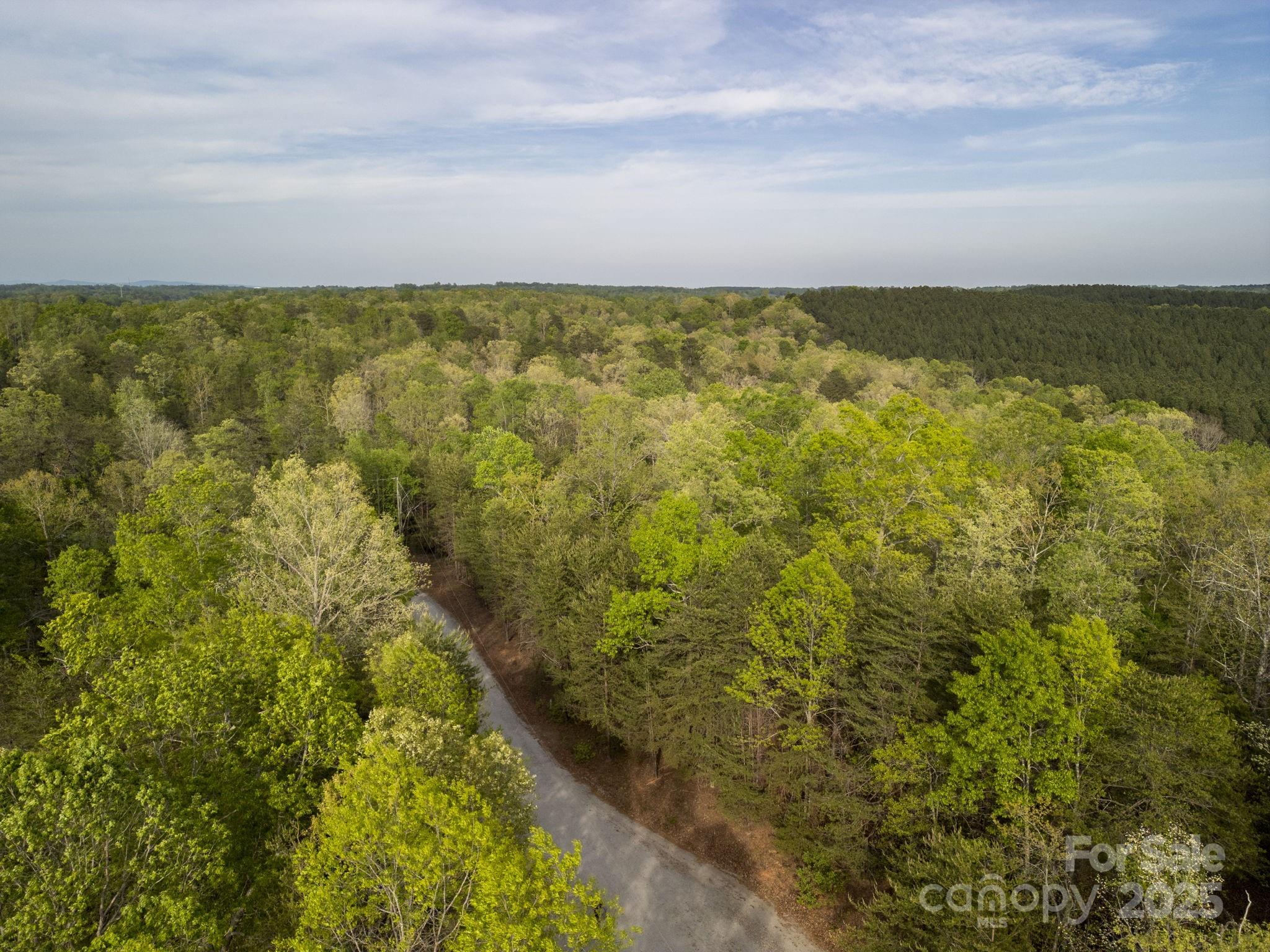 00 Sasafras Ridge Property Photo 6
