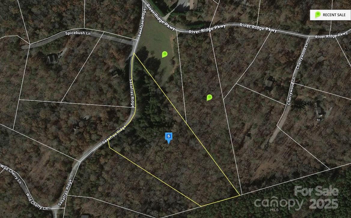 00 Sasafras Ridge Property Photo 7