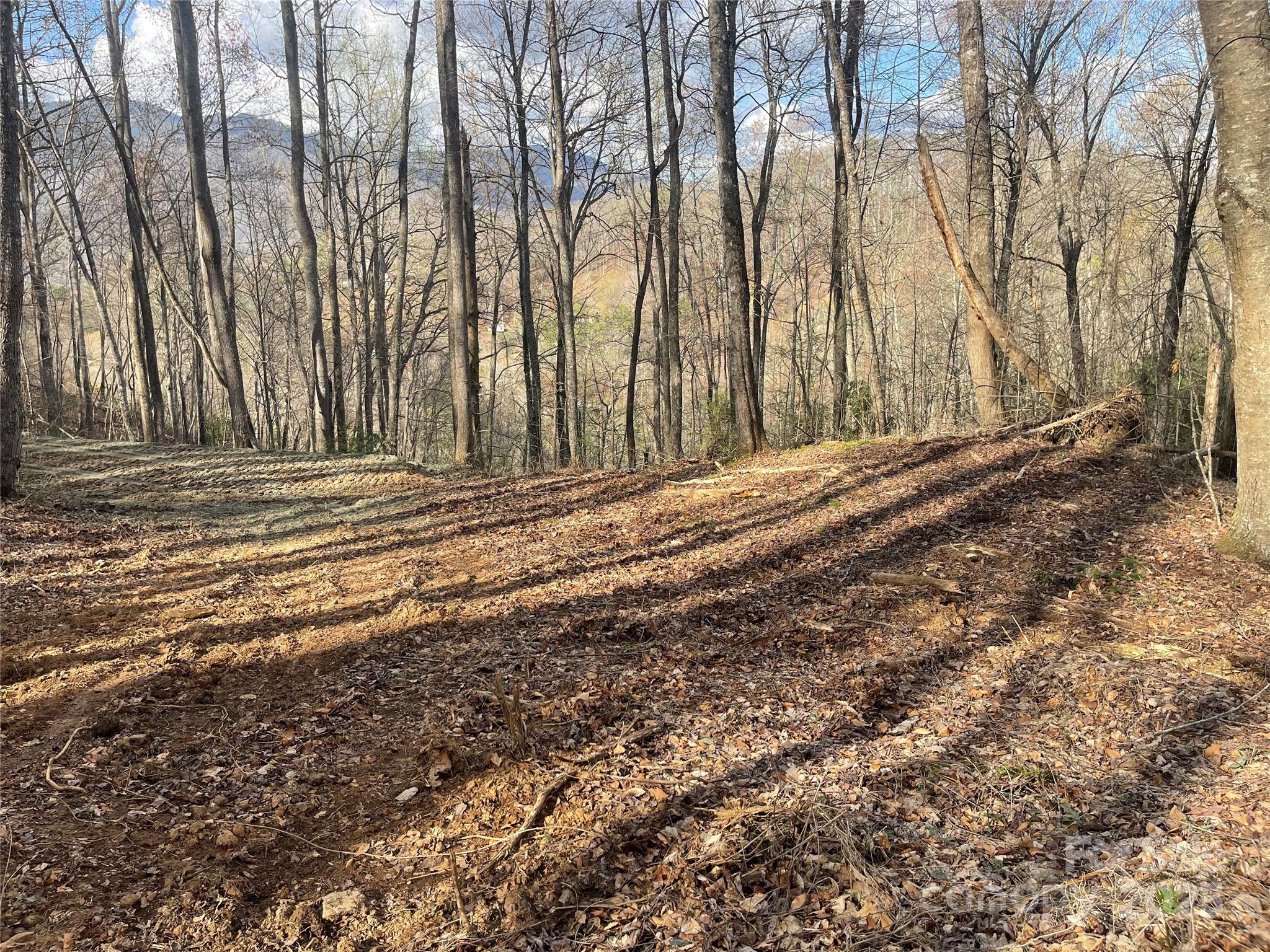 4 Copperhead Cove Property Photo