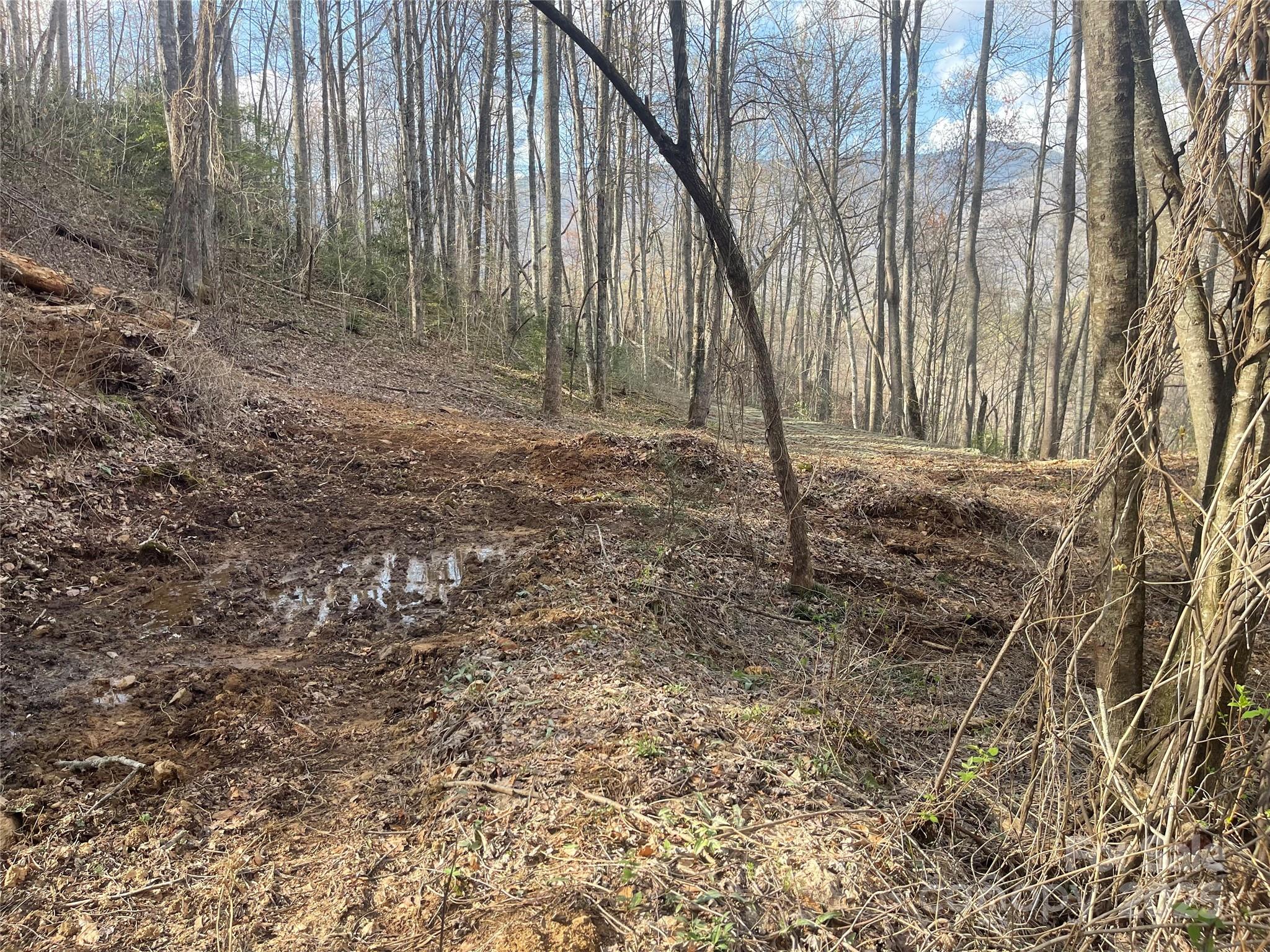 4 Copperhead Cove Property Photo 6