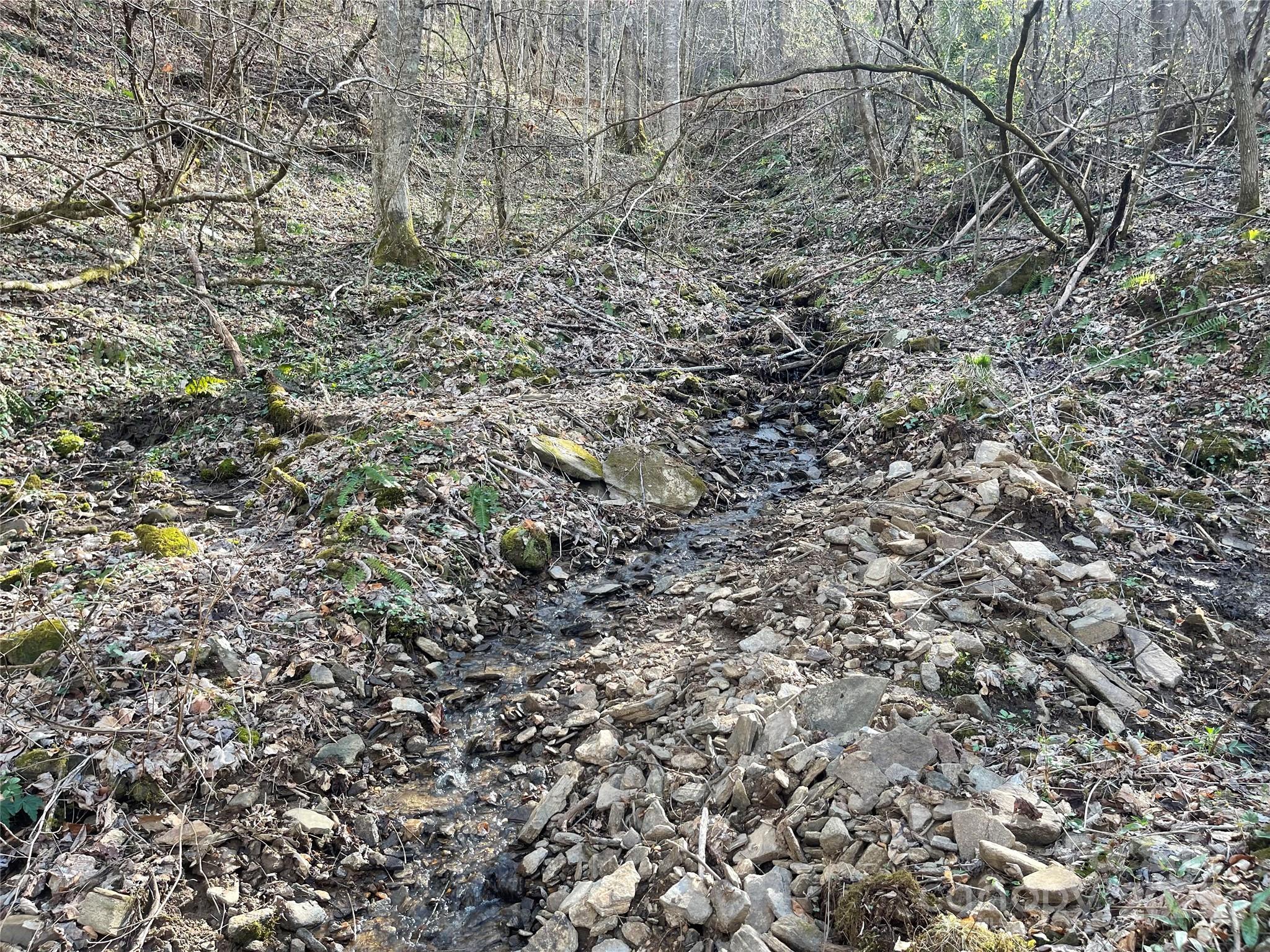 4 Copperhead Cove Property Photo 9